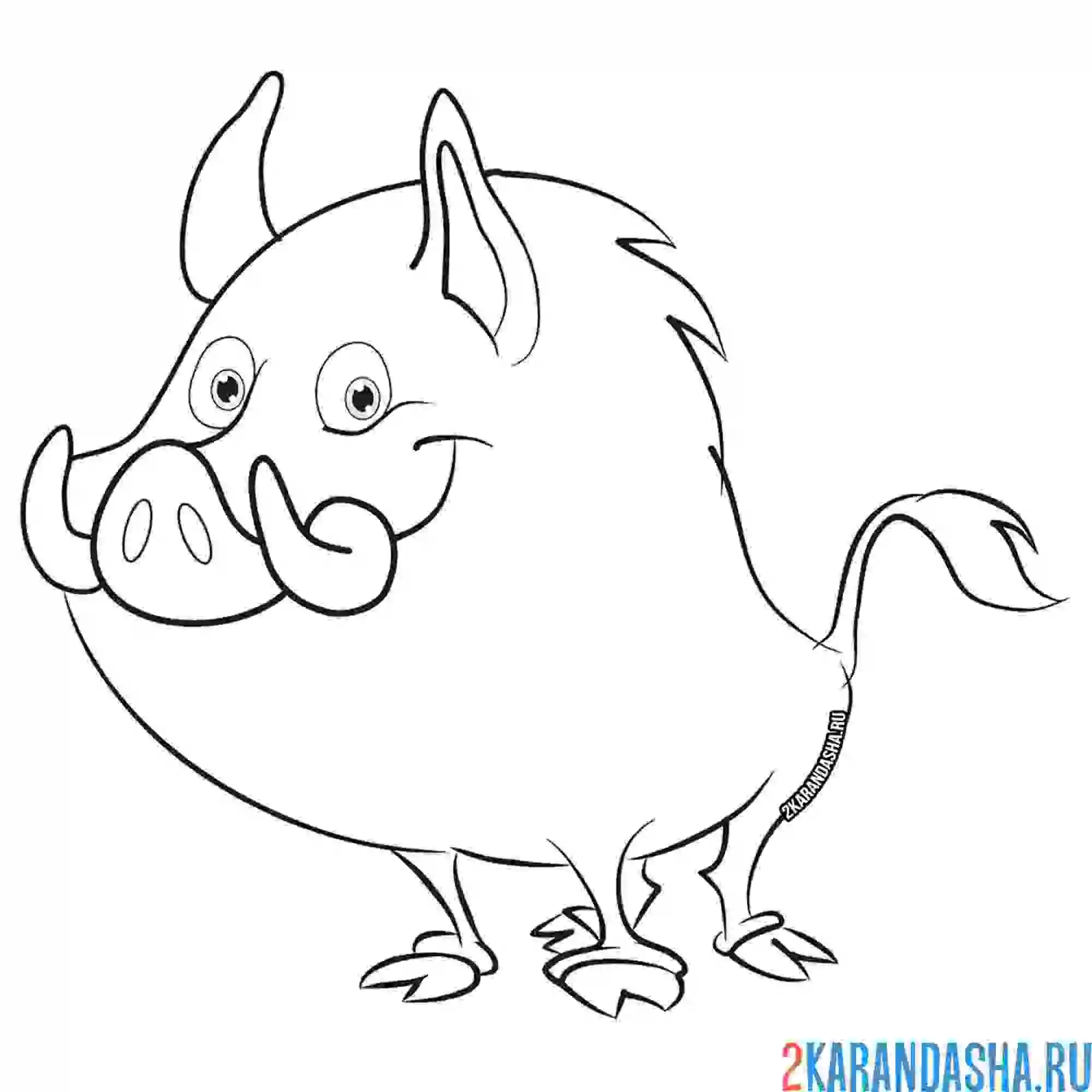 Раскраска кабанчик