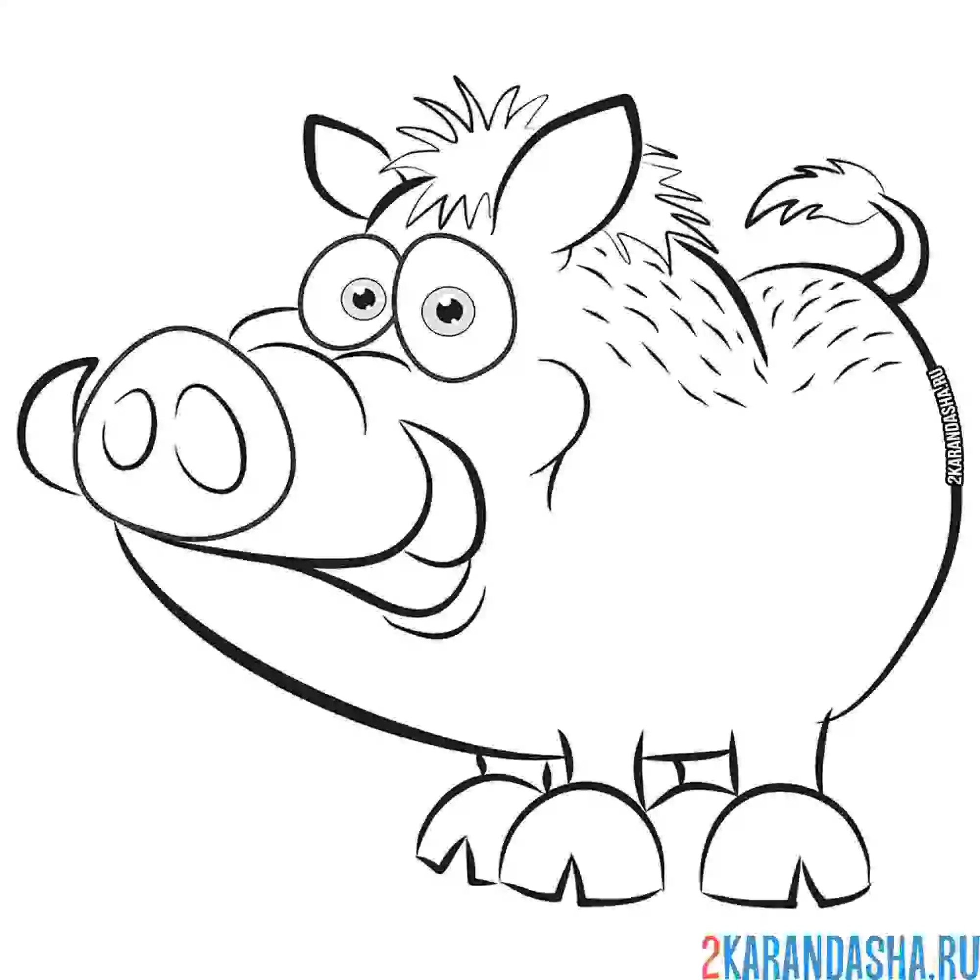 Раскраска кабан для детей