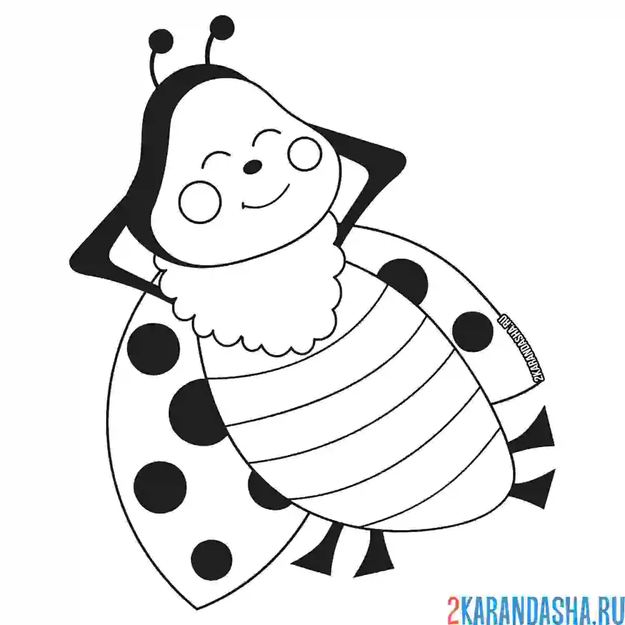 Раскраска божья коровка отдыхает