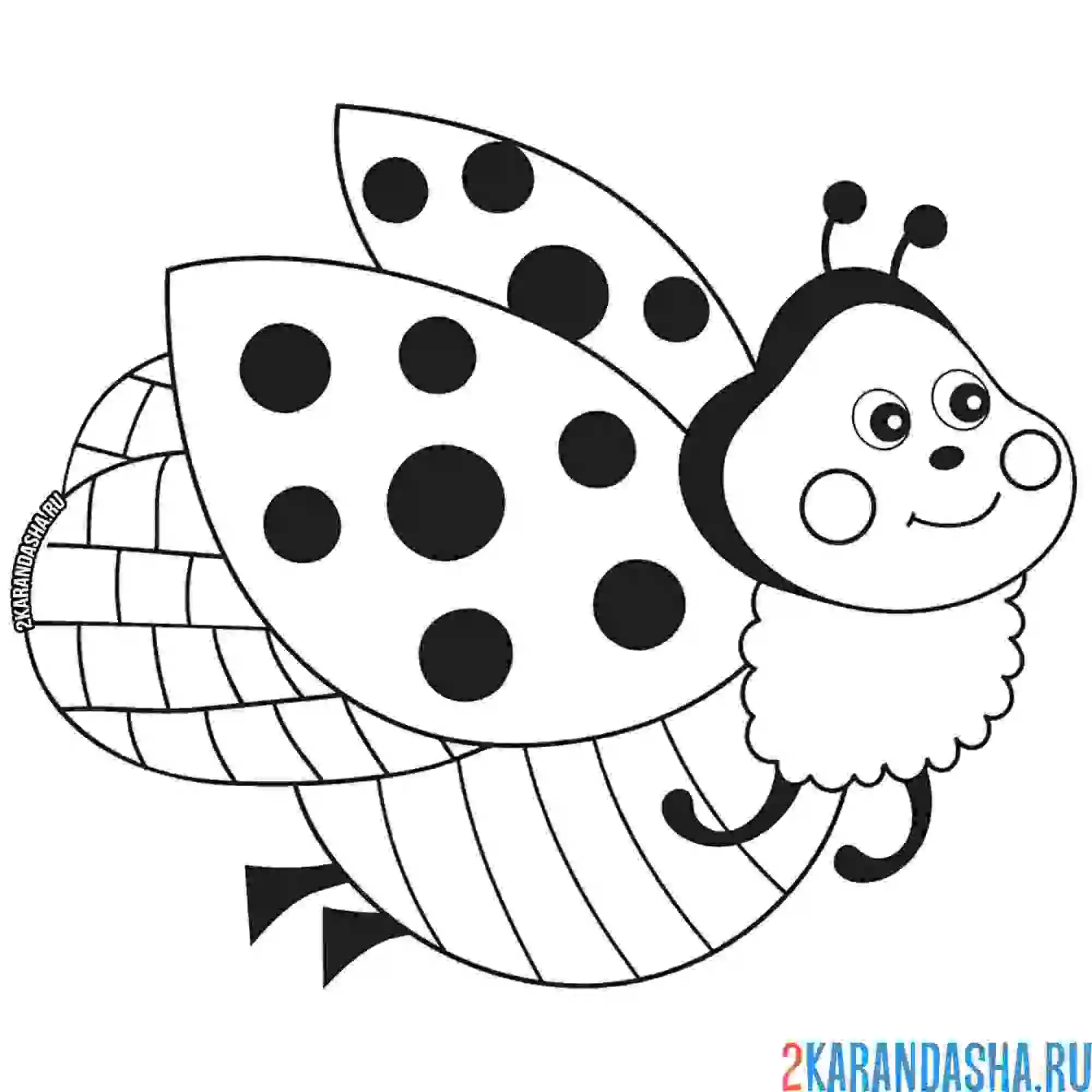 Раскраска божья коровка летает