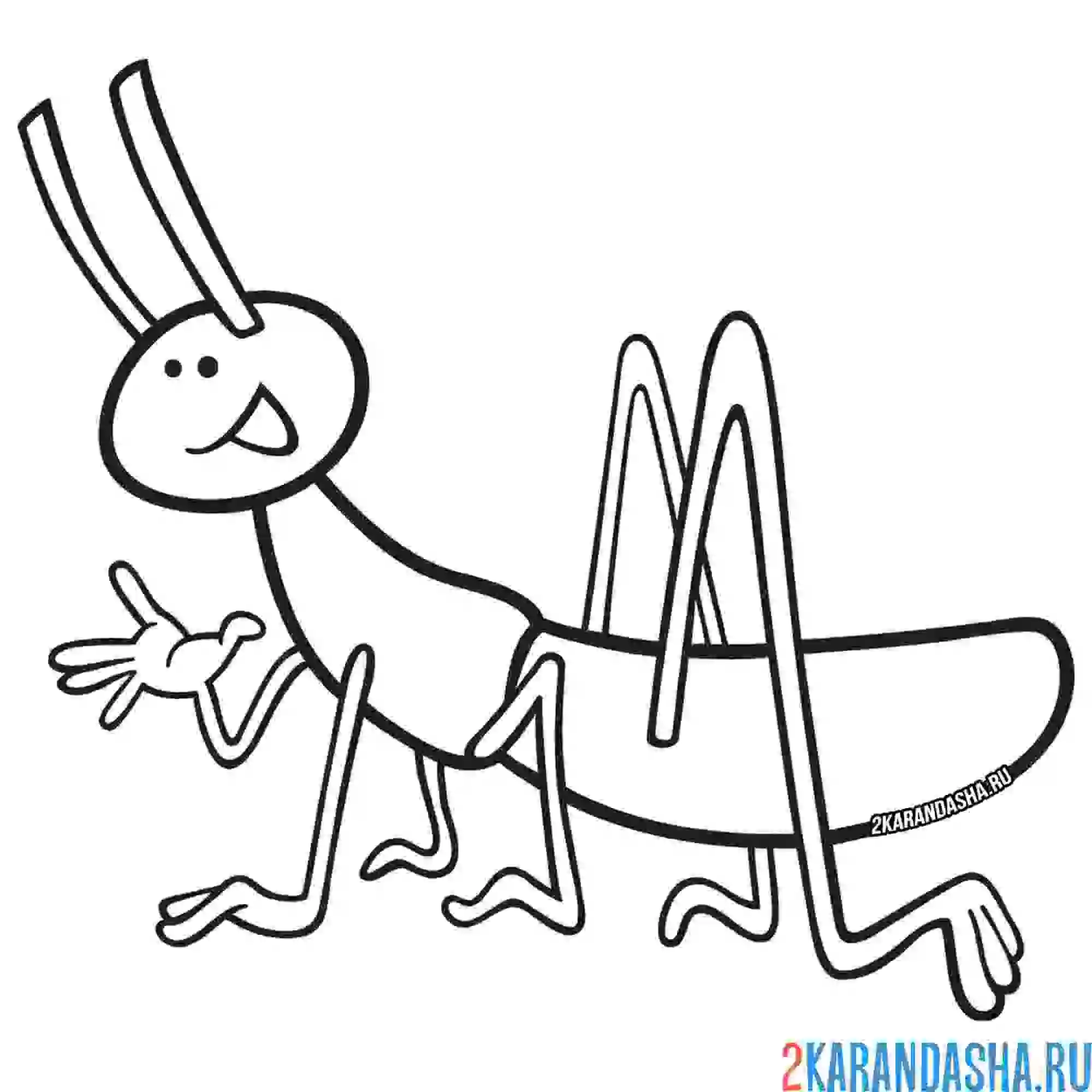 Раскраска кузнечик для детей