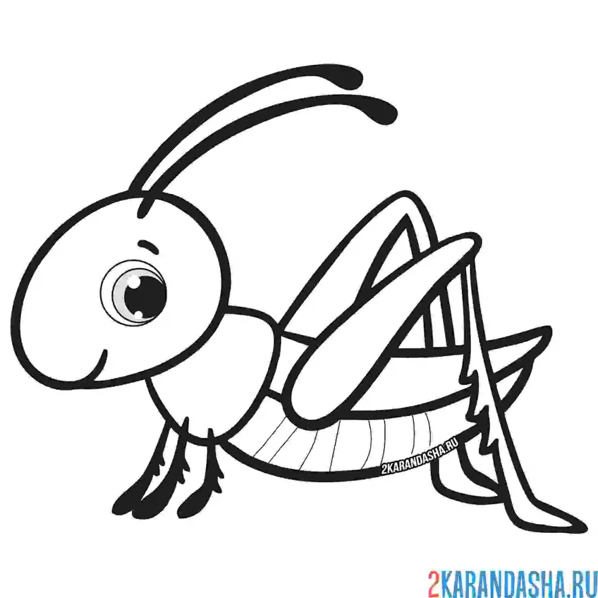 Раскраска милый кузнечик