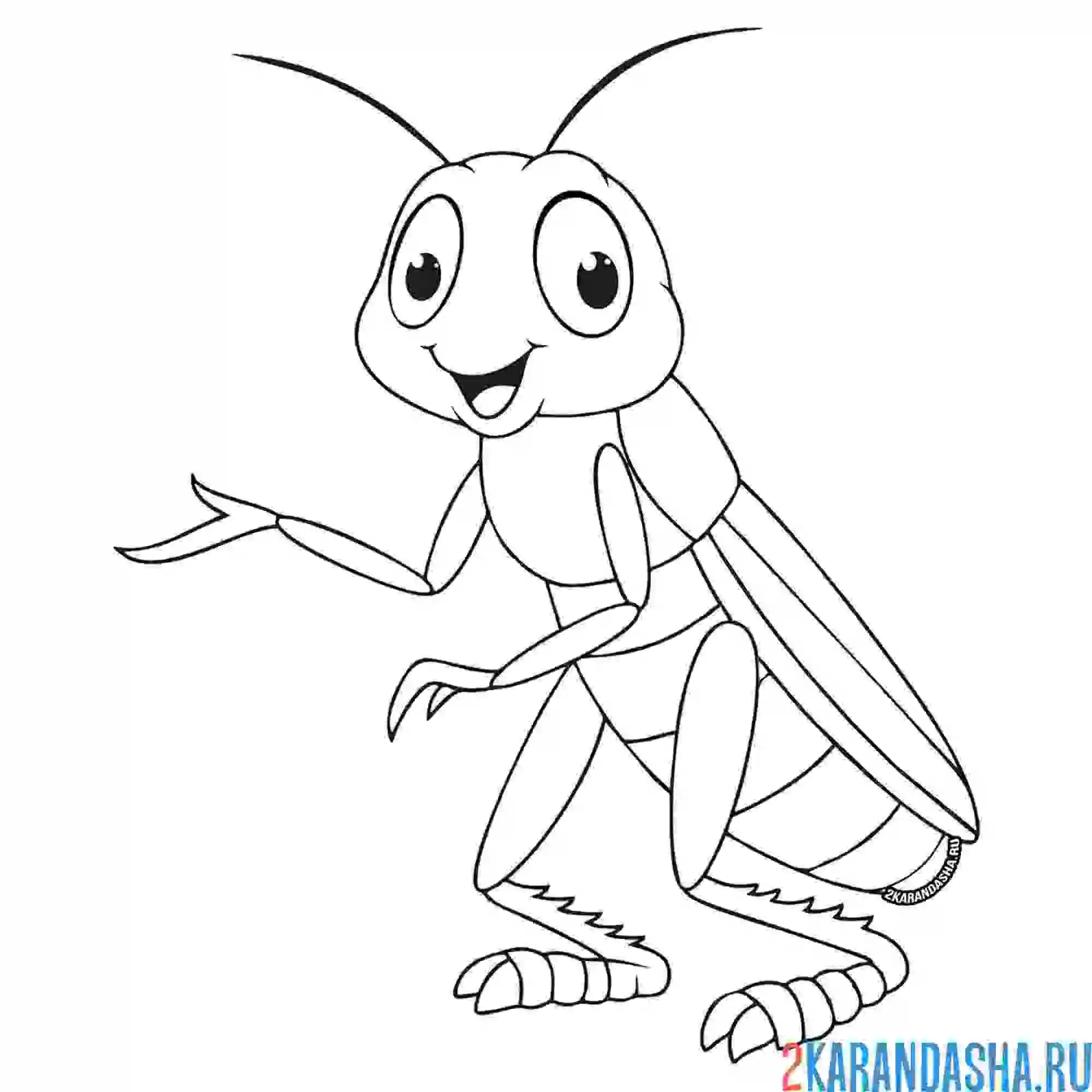 Раскраска зеленый кузнечик