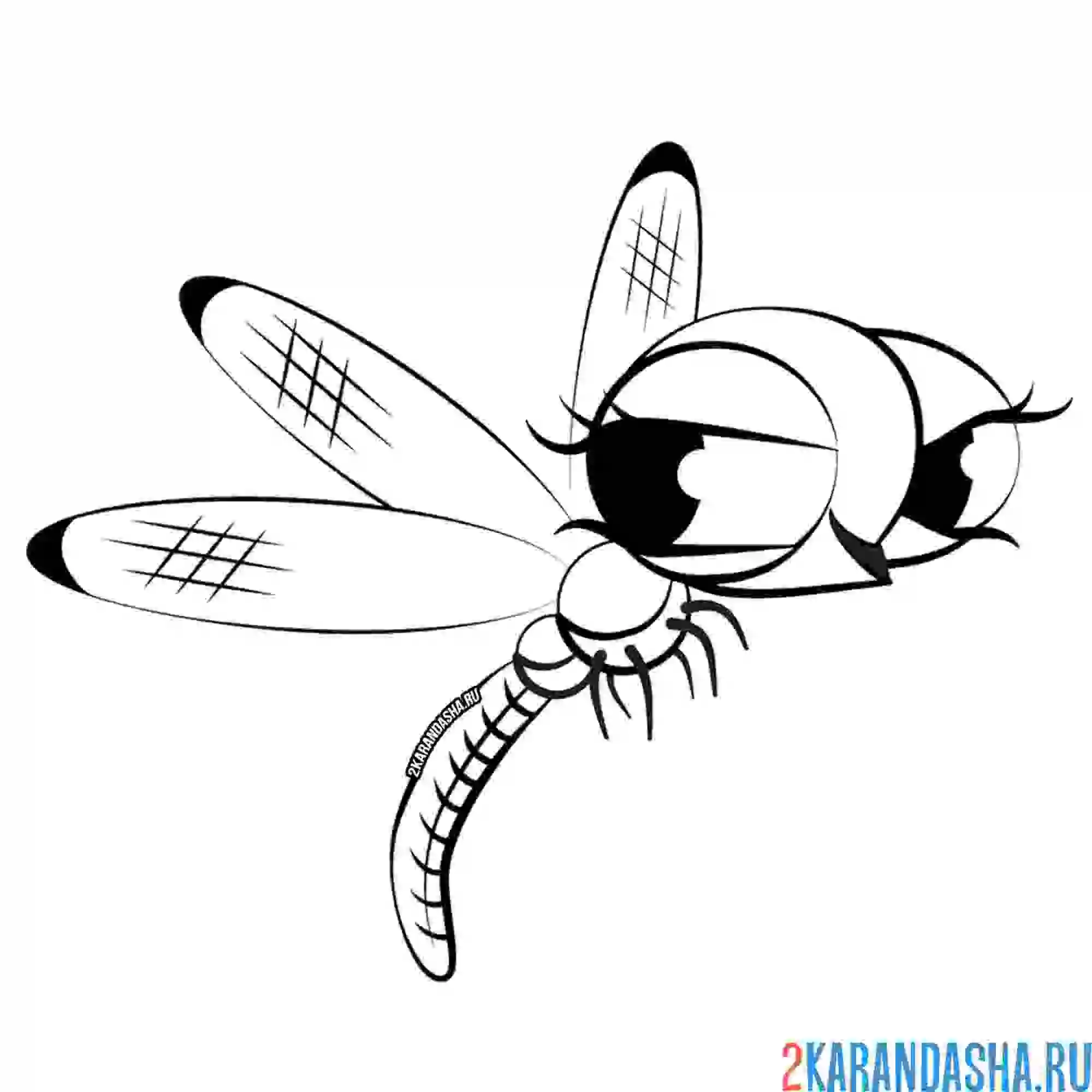 Раскраска попрыгунья стрекоза