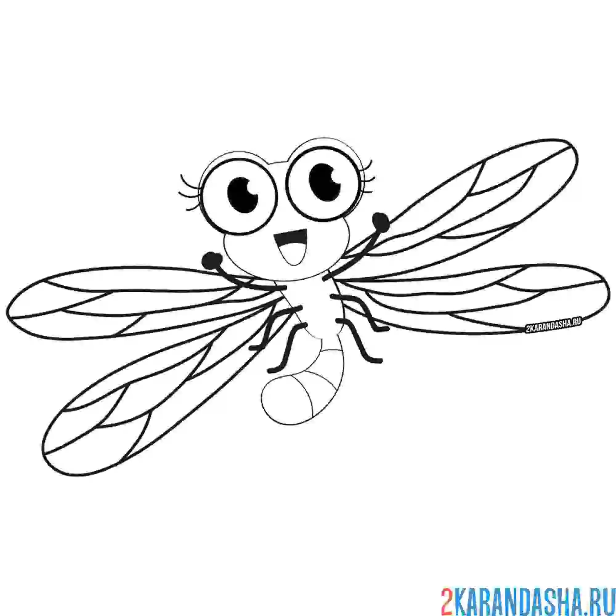 Раскраска стрекоза рисунок