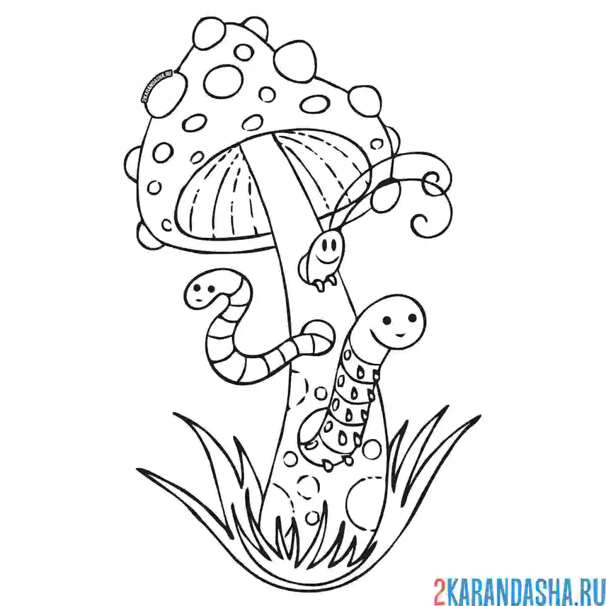 Раскраска в мухоморе