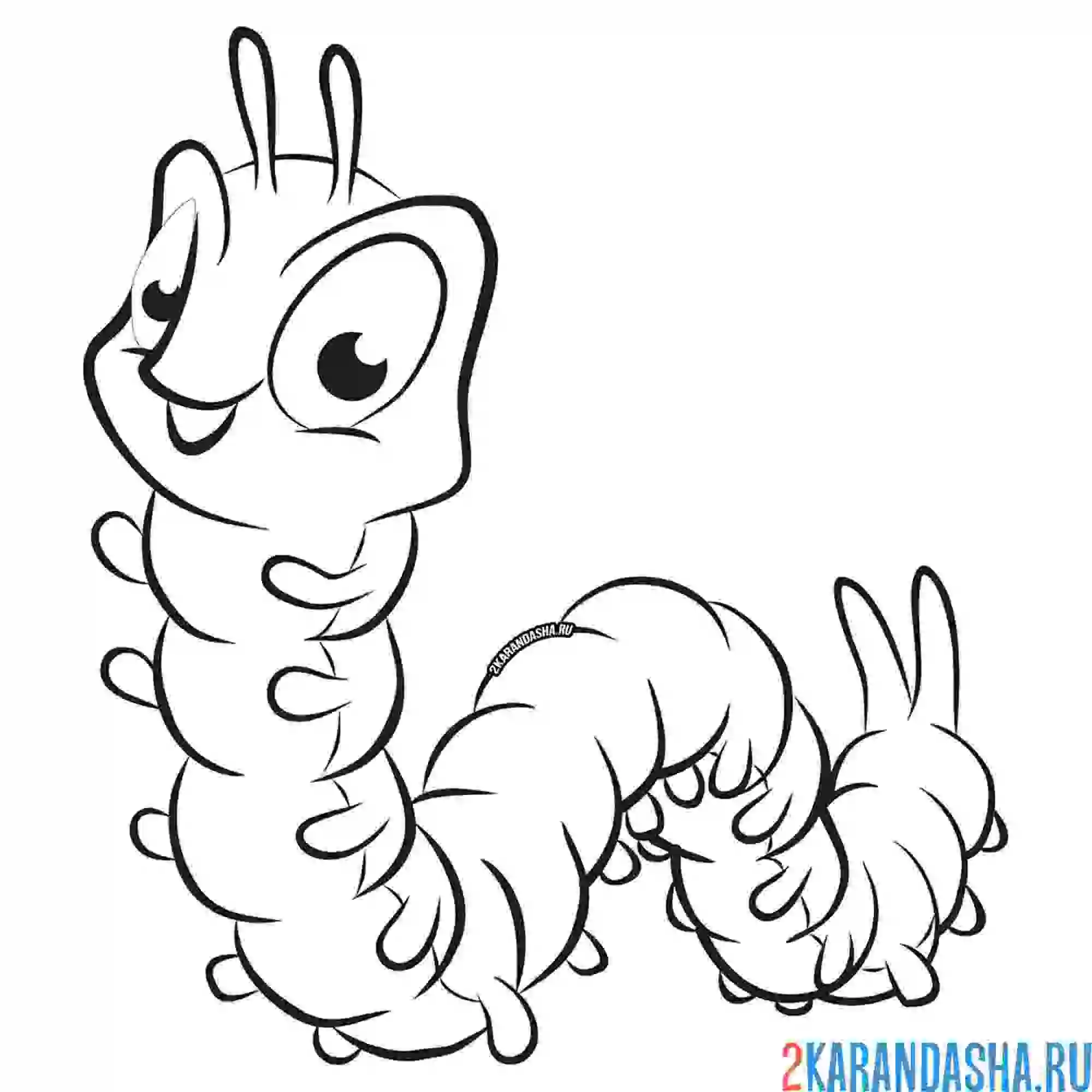 Раскраска травоядная гусеница