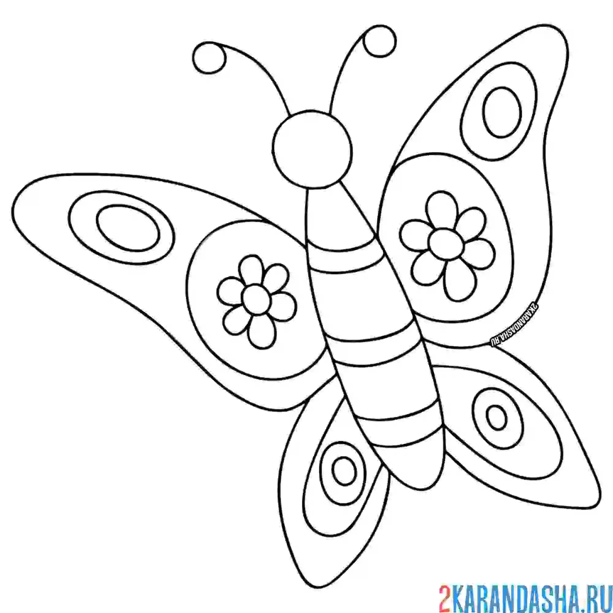 Раскраска простая бабочка для малыша