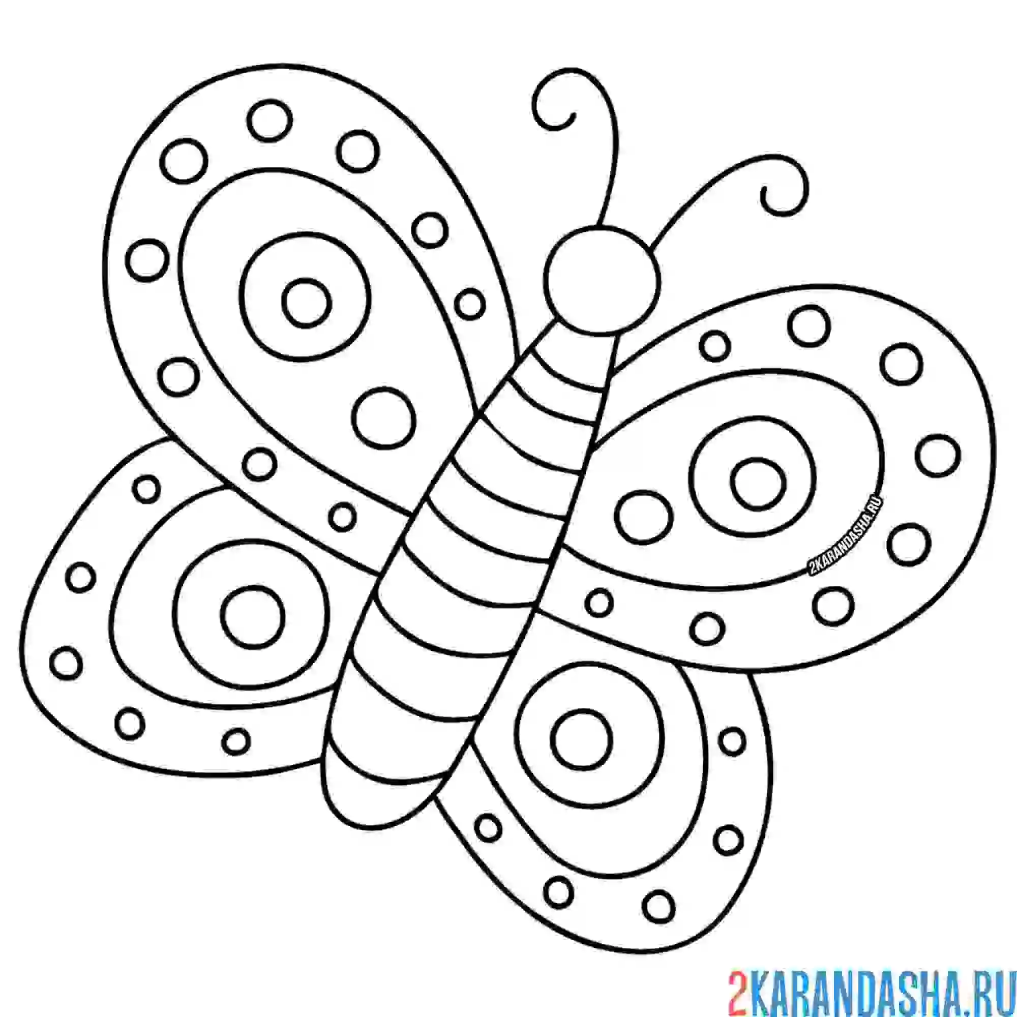 Раскраска легкая бабочка