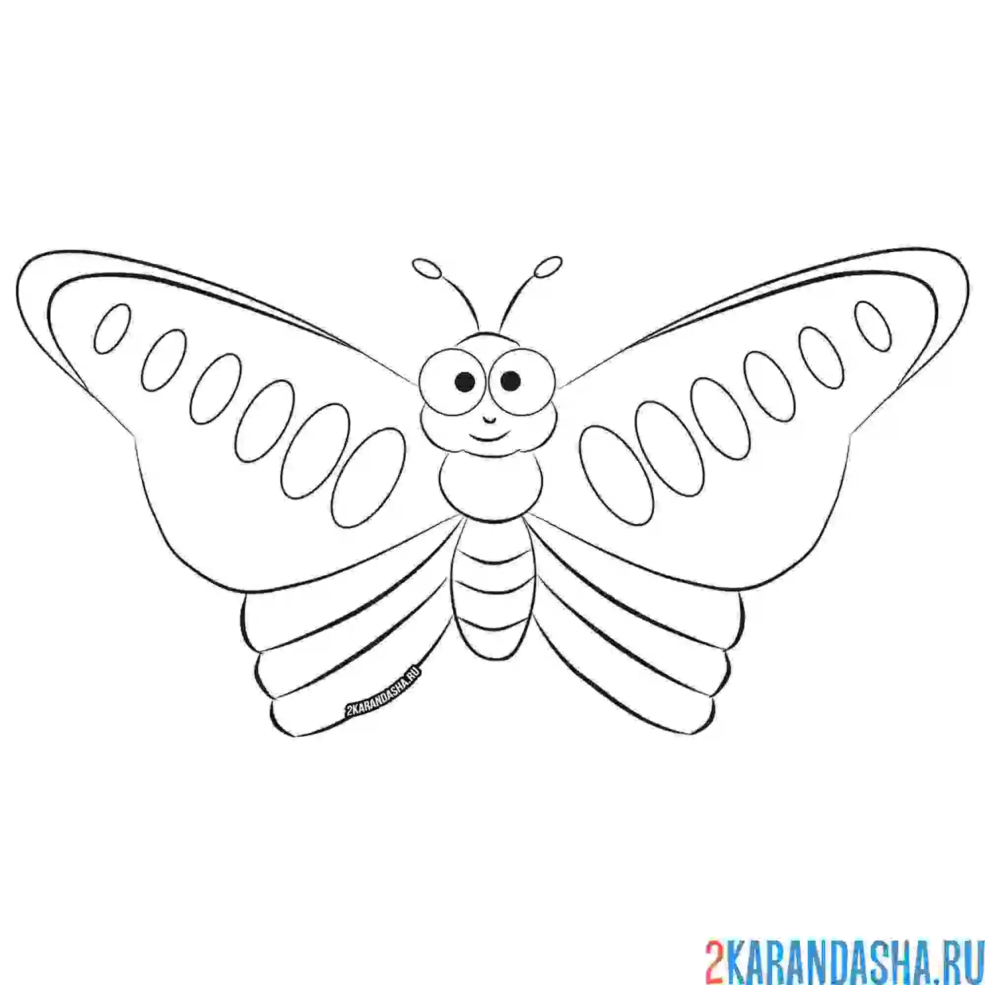 Раскраска бабочка для малышей 3 года
