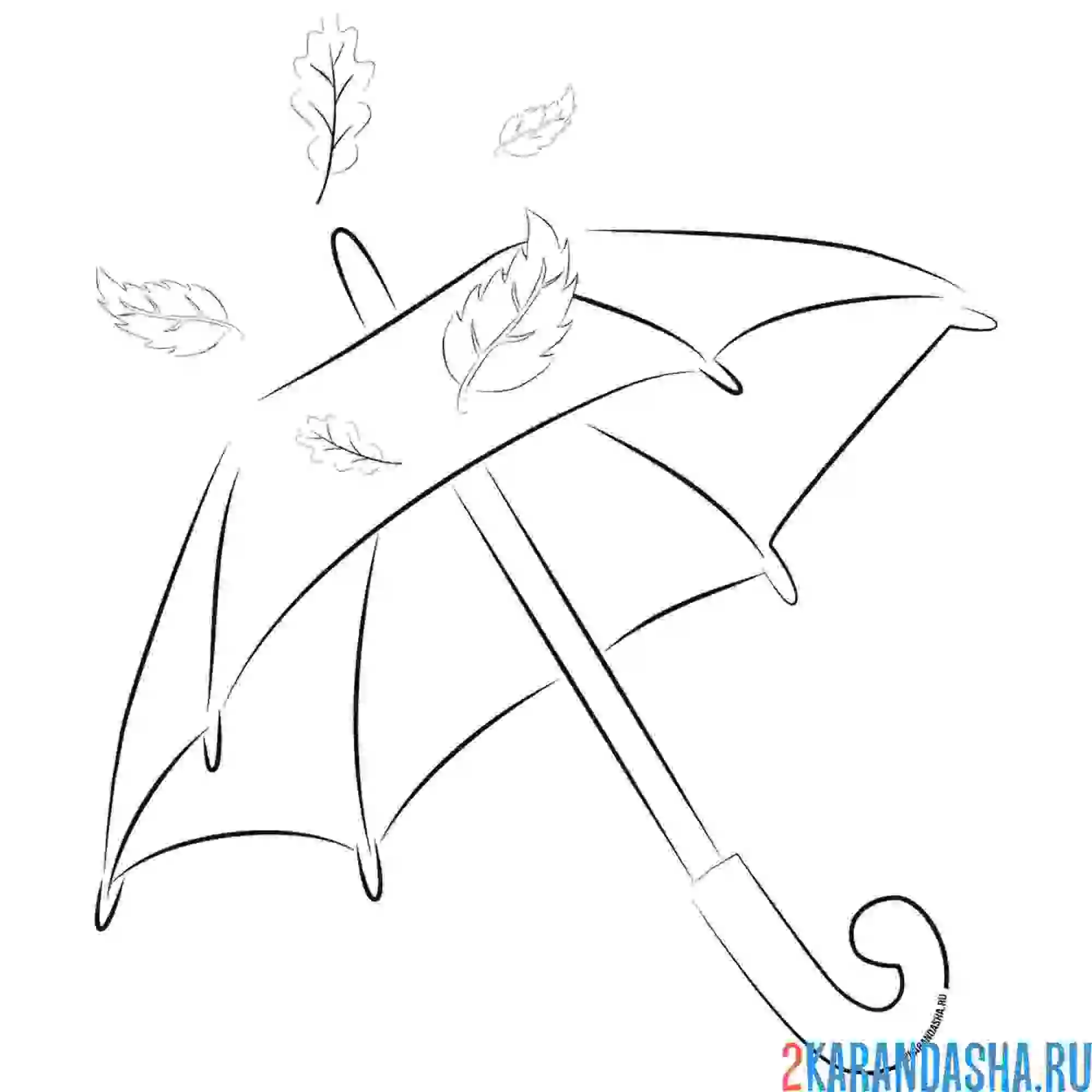 Раскраска осень зонт и листья