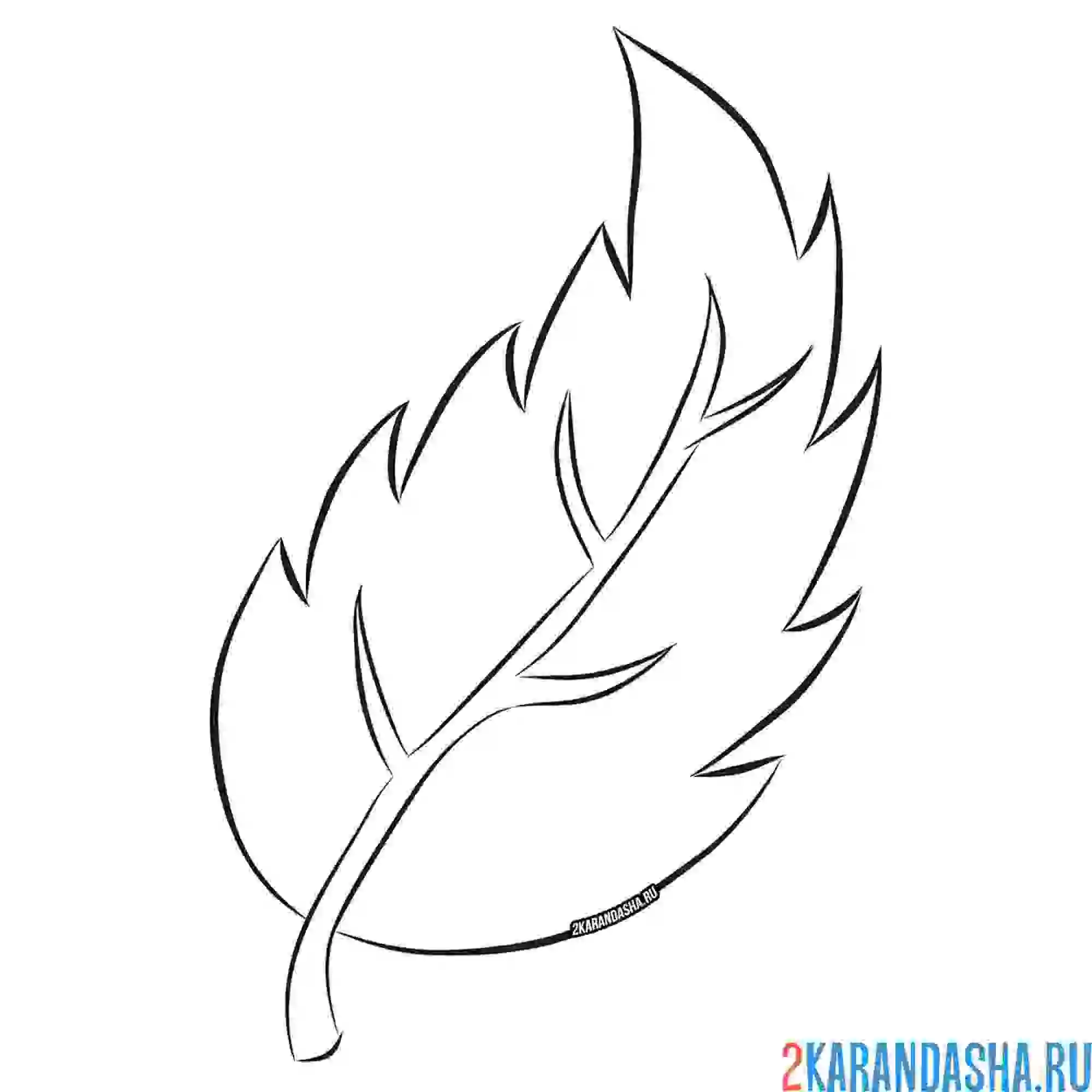 Раскраска листок золотой осени