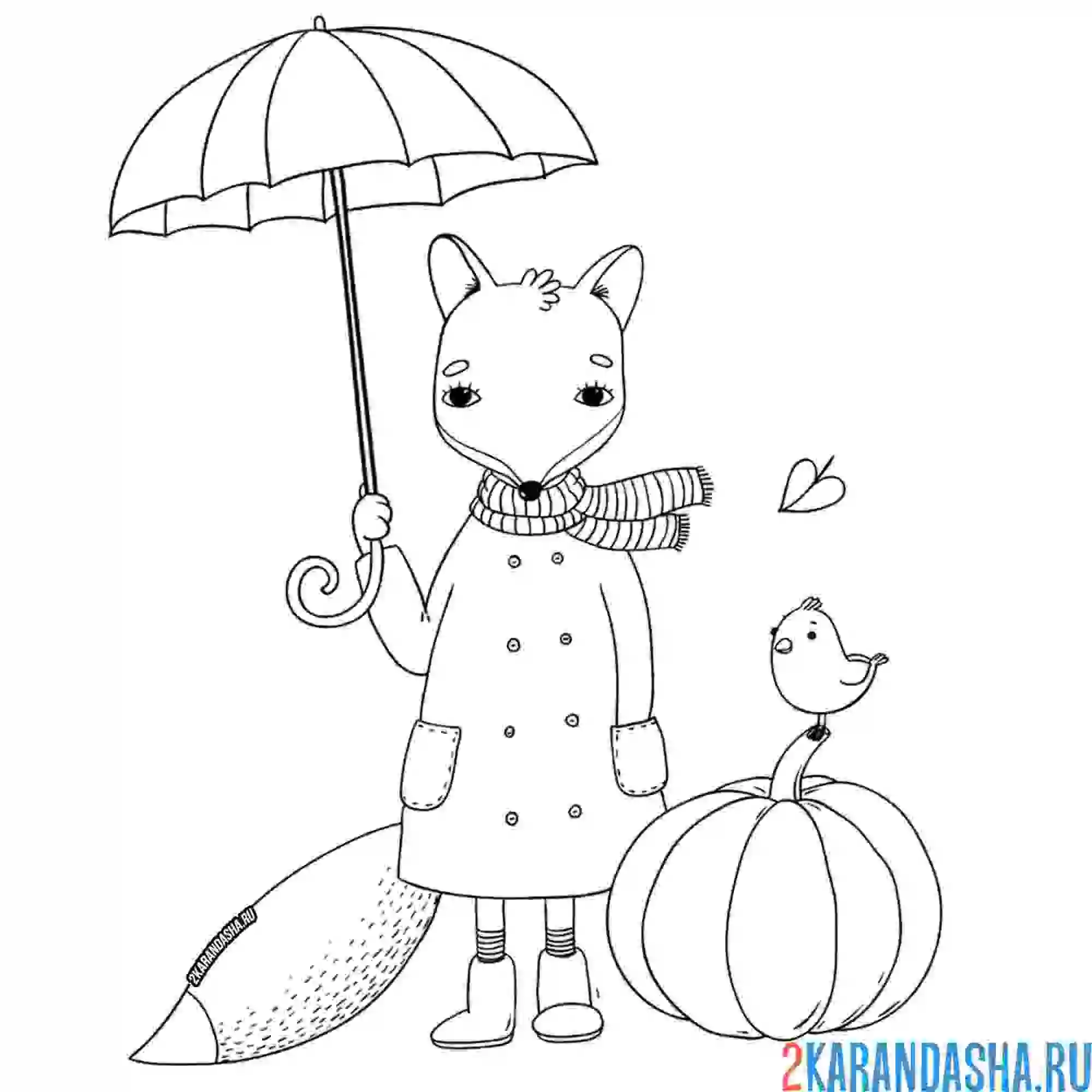 Раскраска лиса тыква осень