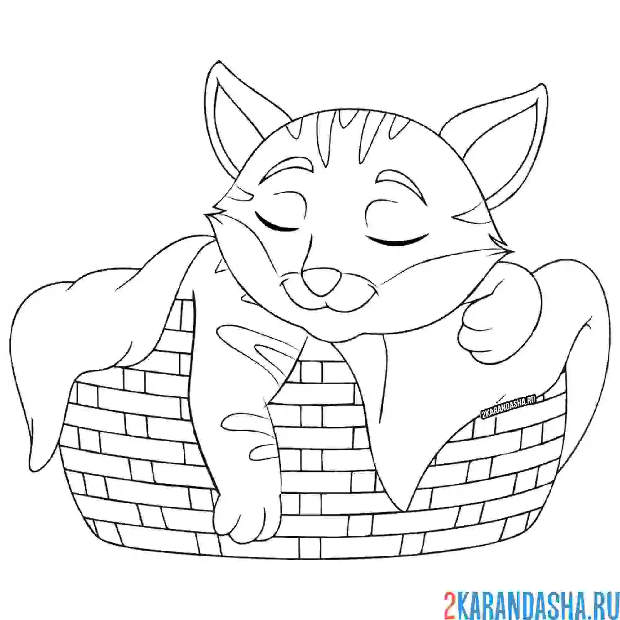 Раскраска котик греется под одеялкой