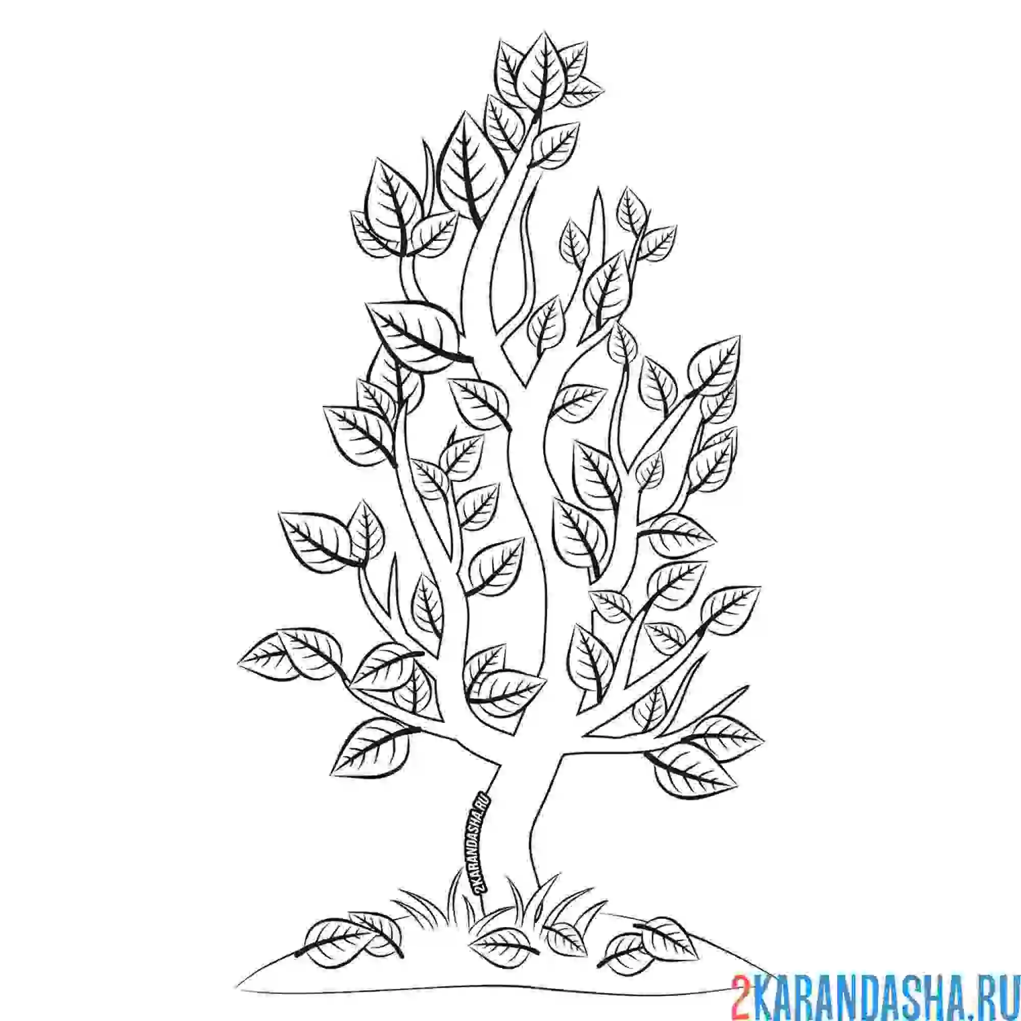 Раскраска золотая осень дерево