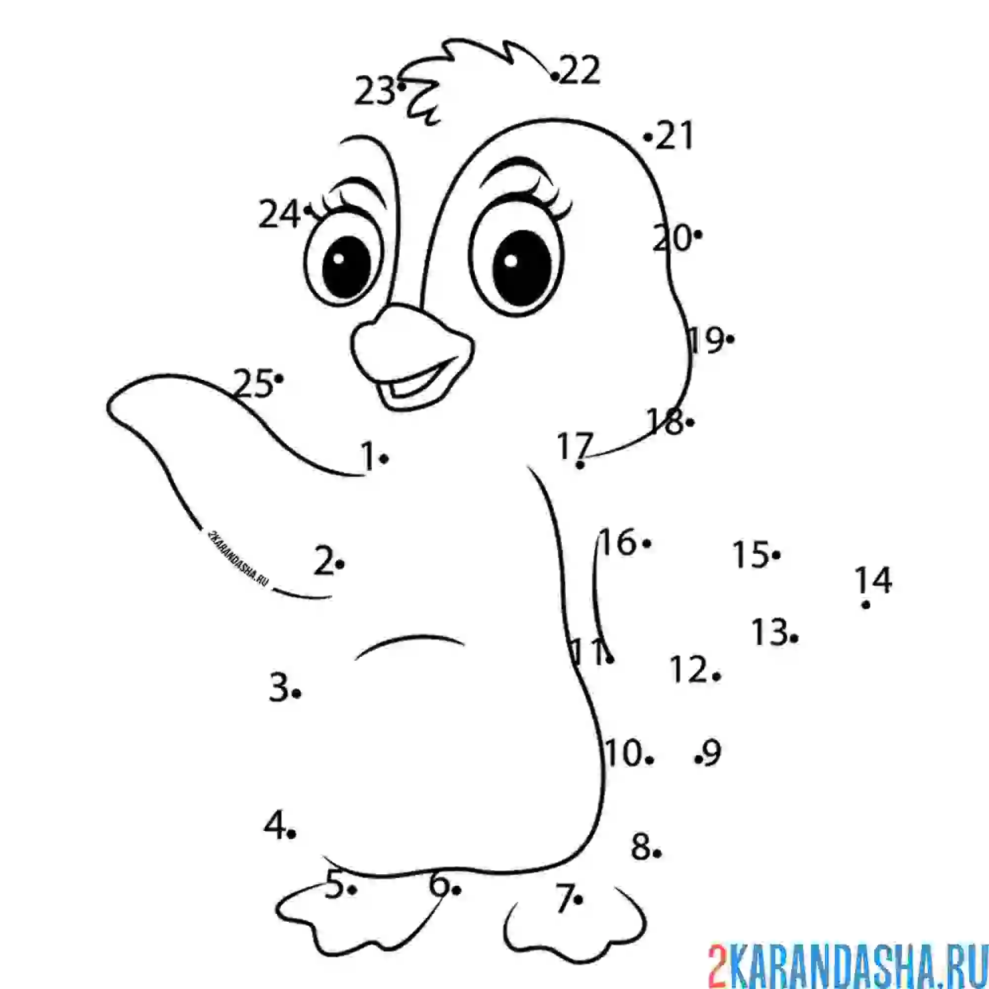 Раскраска пингвин