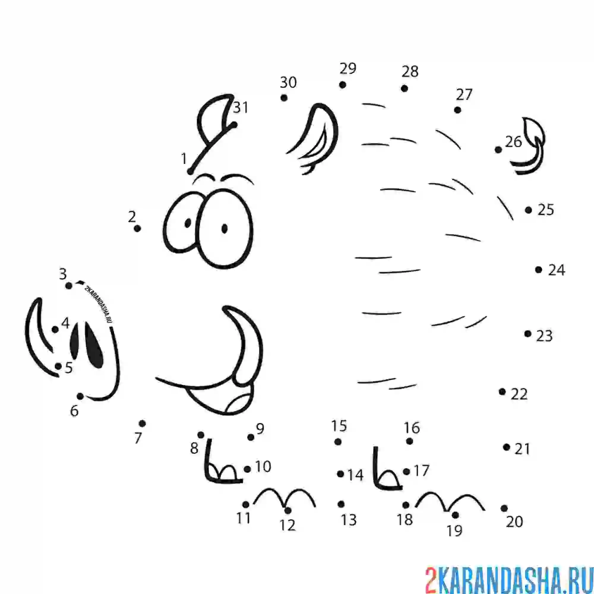 Раскраска рисунок кабан