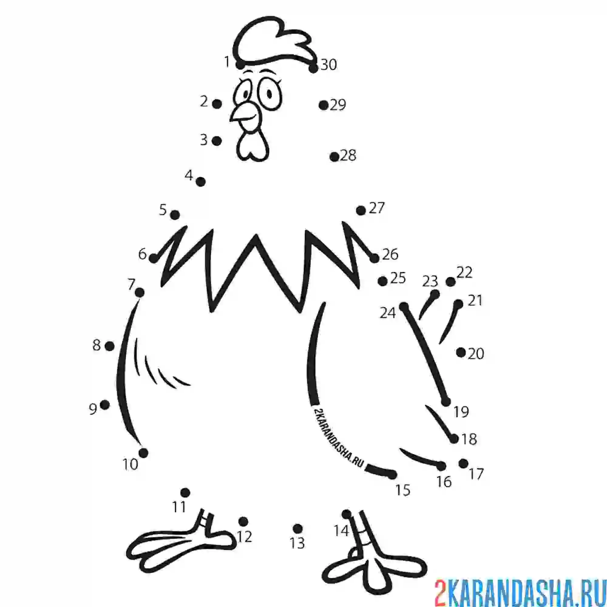 Раскраска курица