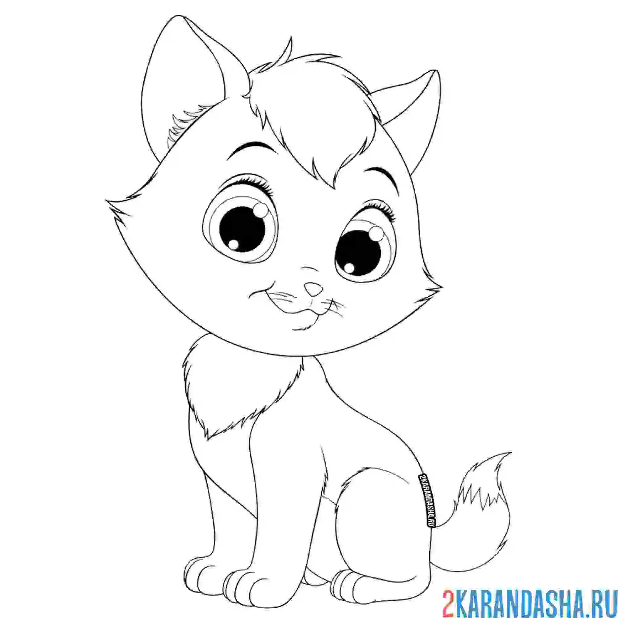 Раскраска очень милый котенок