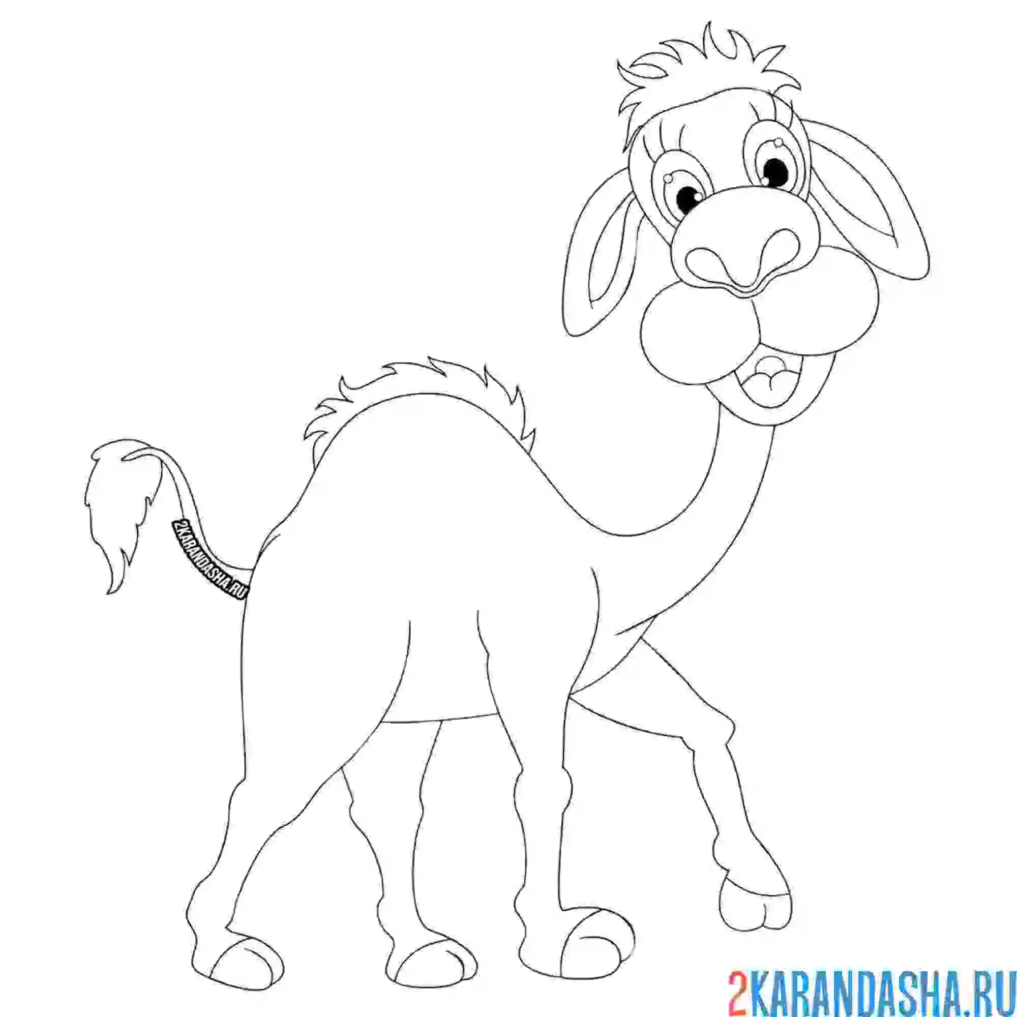 Раскраска верблюд в хорошем настроении