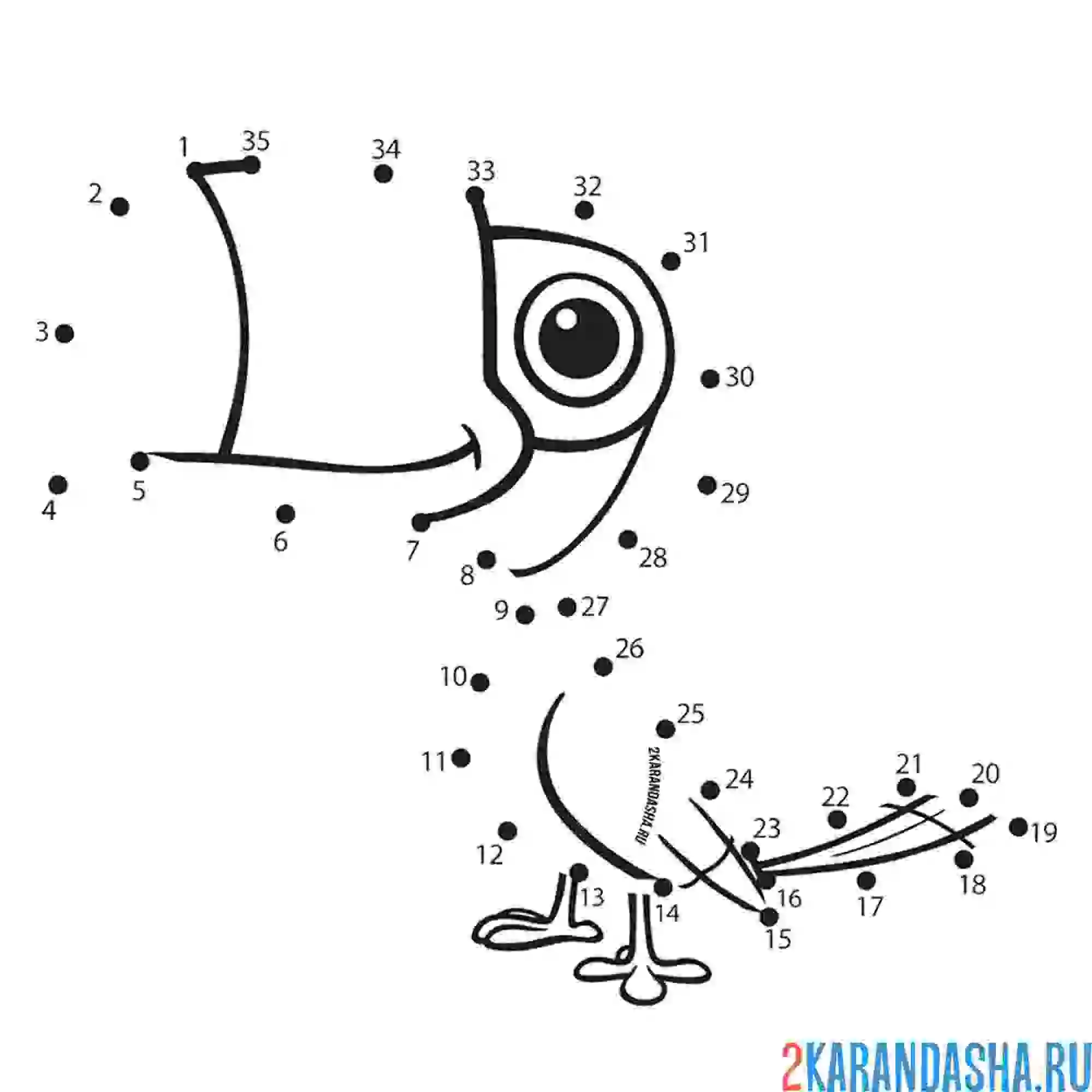 Раскраска птица тукан