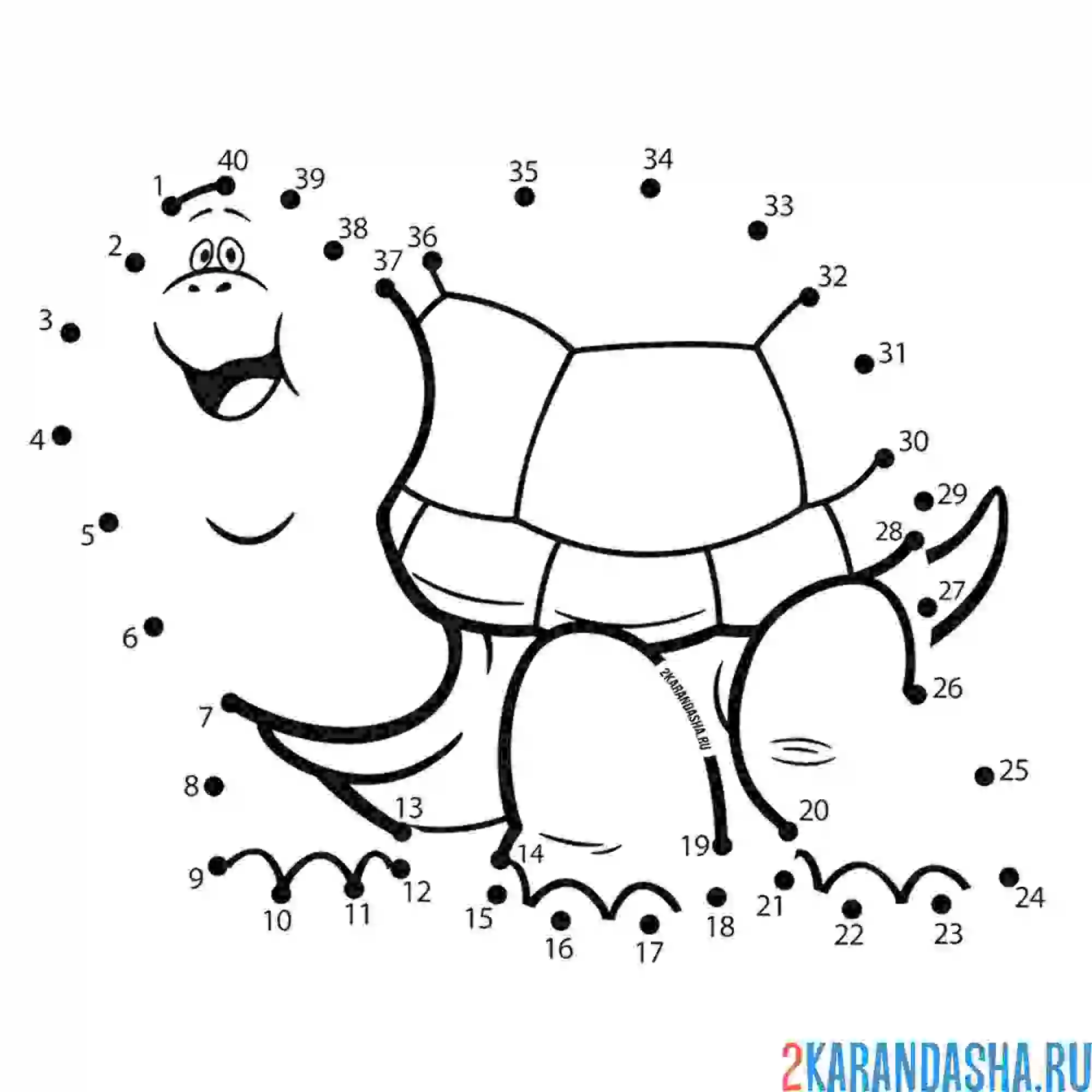 Раскраска большая черепаха