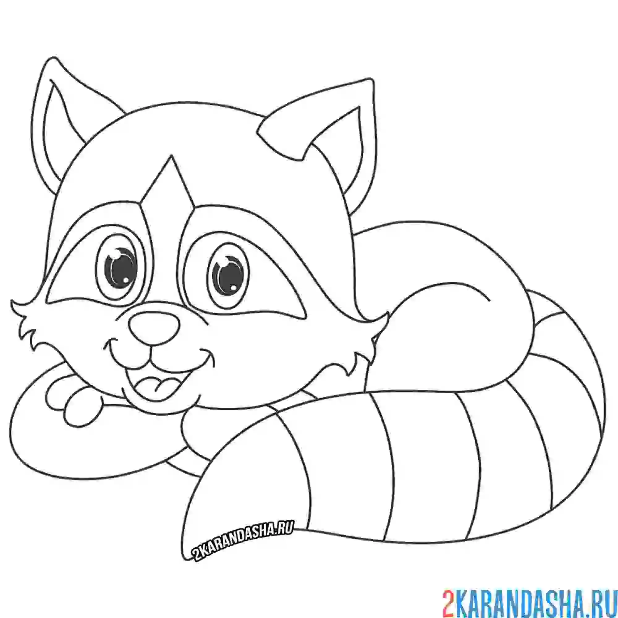 Раскраска енот лежит и улыбается