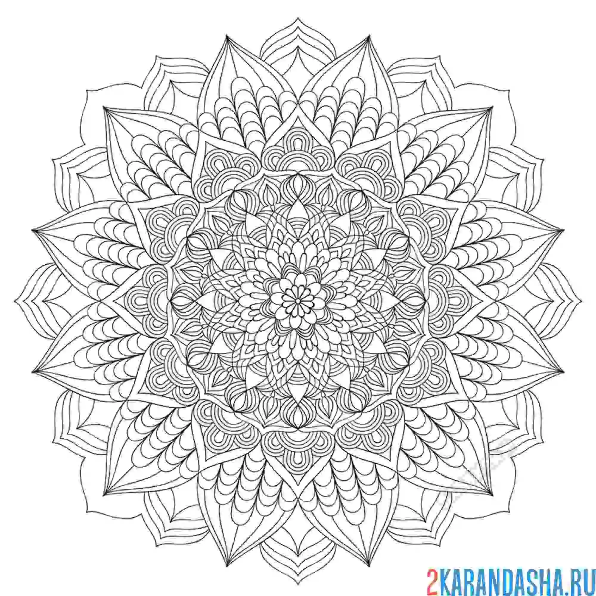 Раскраска мандала удачи