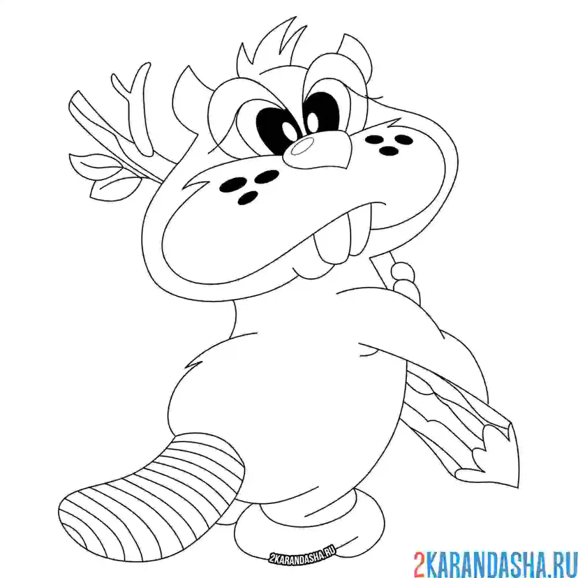 Раскраска красивый бобер с веткой