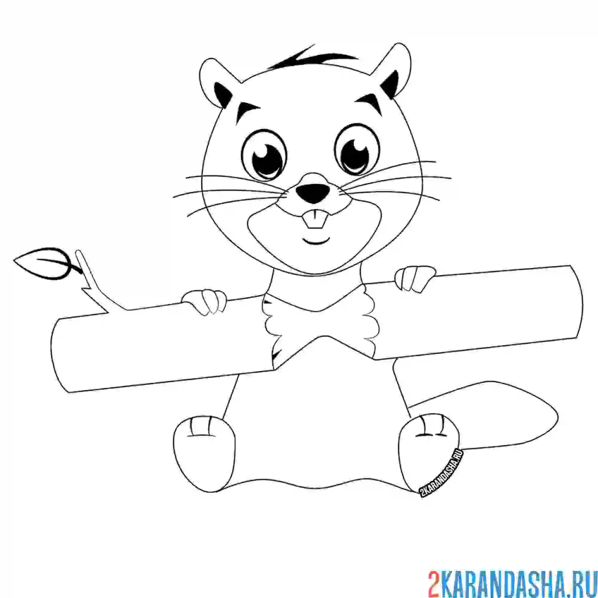 Раскраска маленький бобреныш