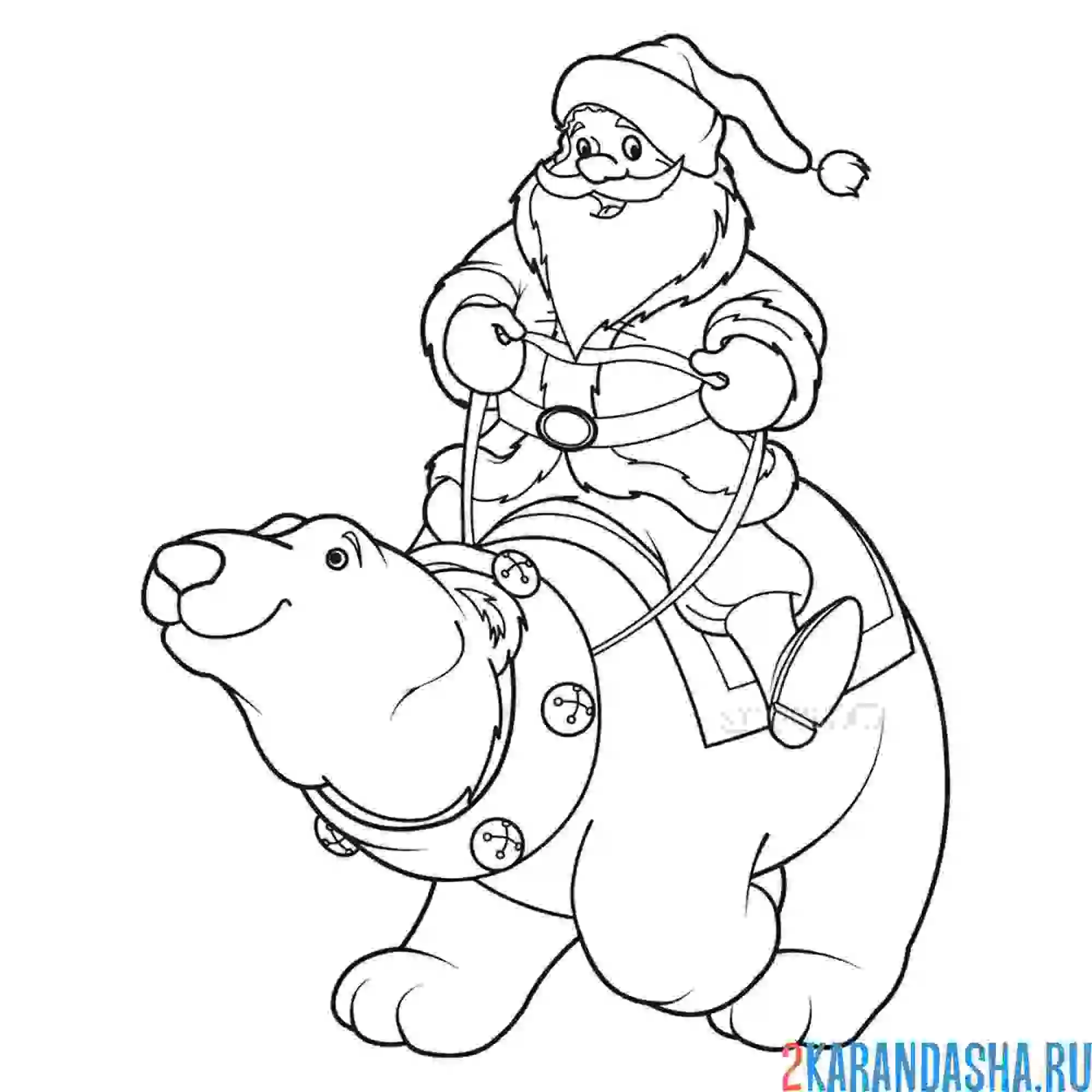 Раскраска дед мороз на белом медведе