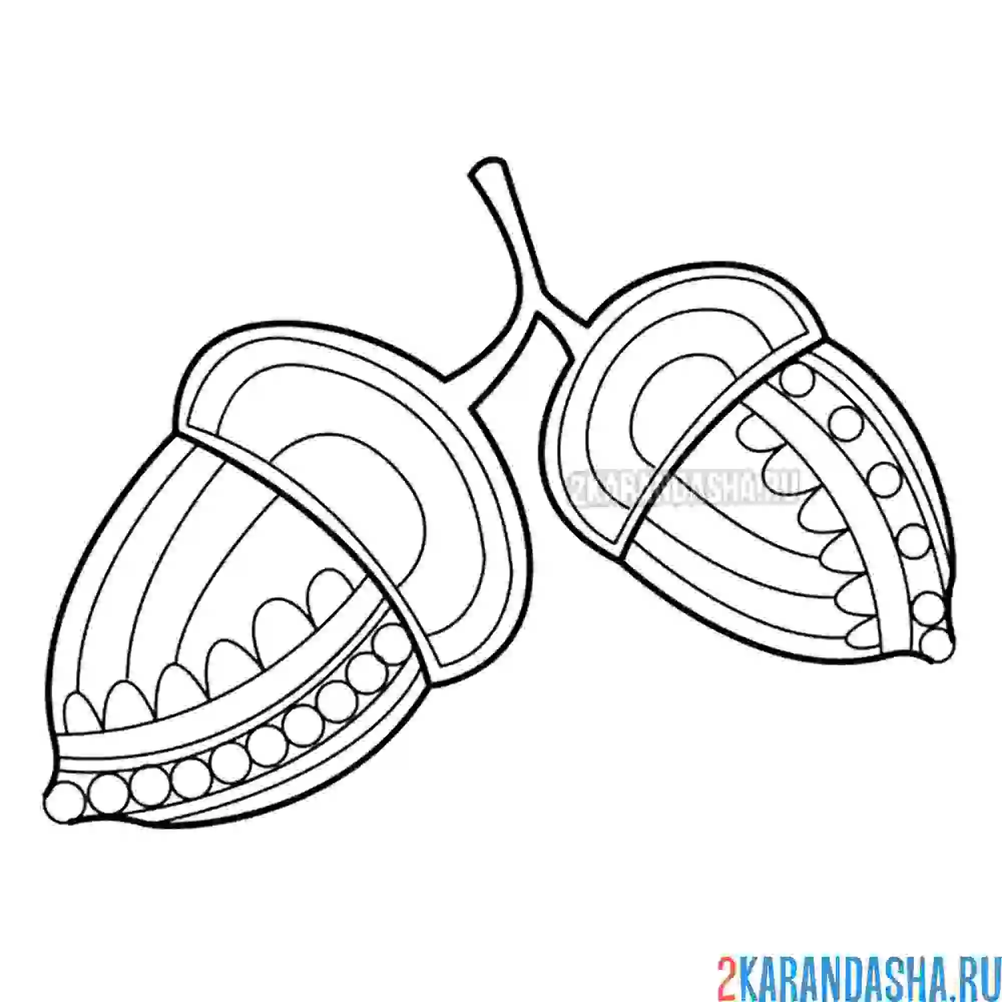 Раскраска антистресс желудь