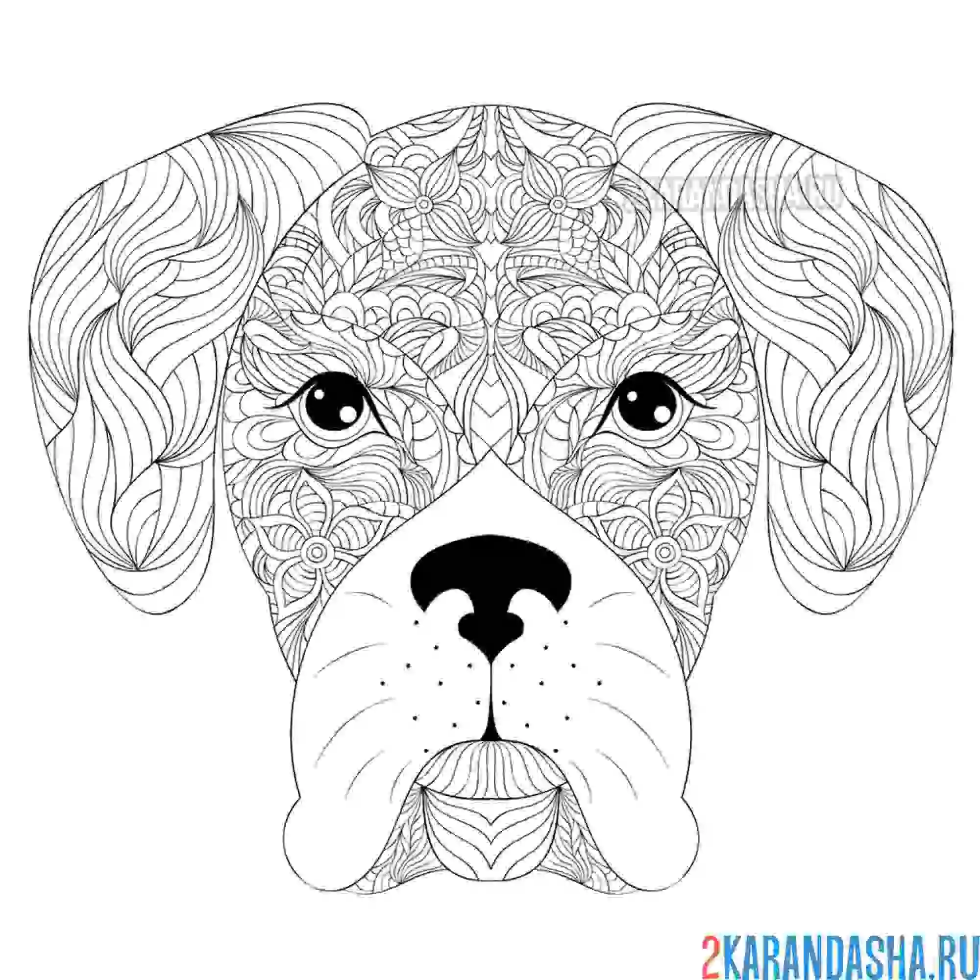 Раскраска антистресс собака животное