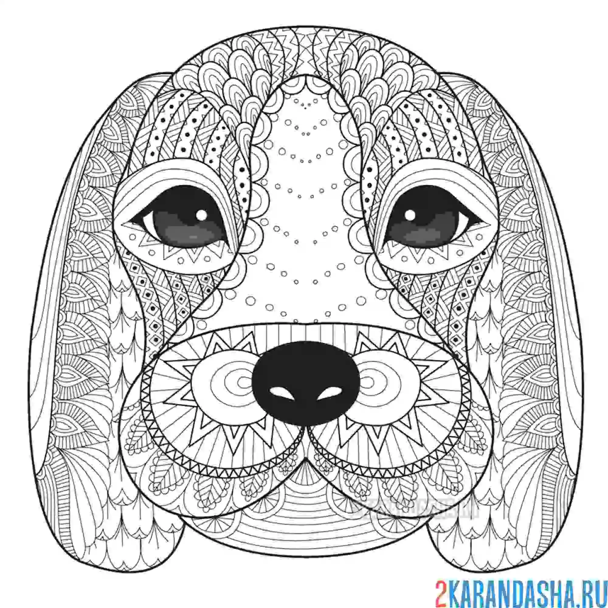 Раскраска милая собачка