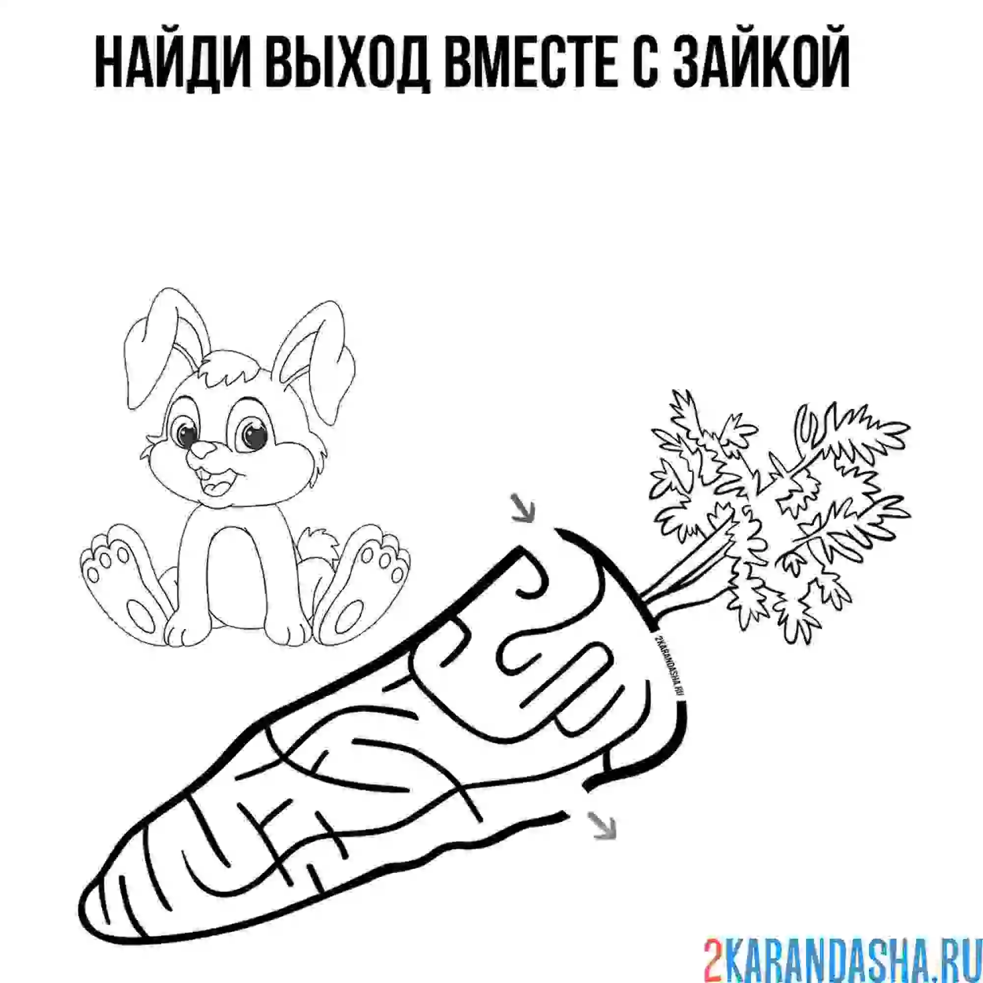 Раскраска лабиринт морковка