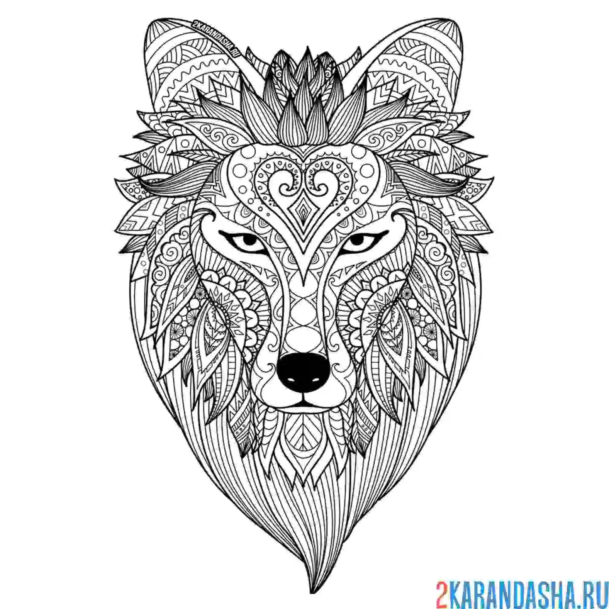 Раскраска голова дикого волка
