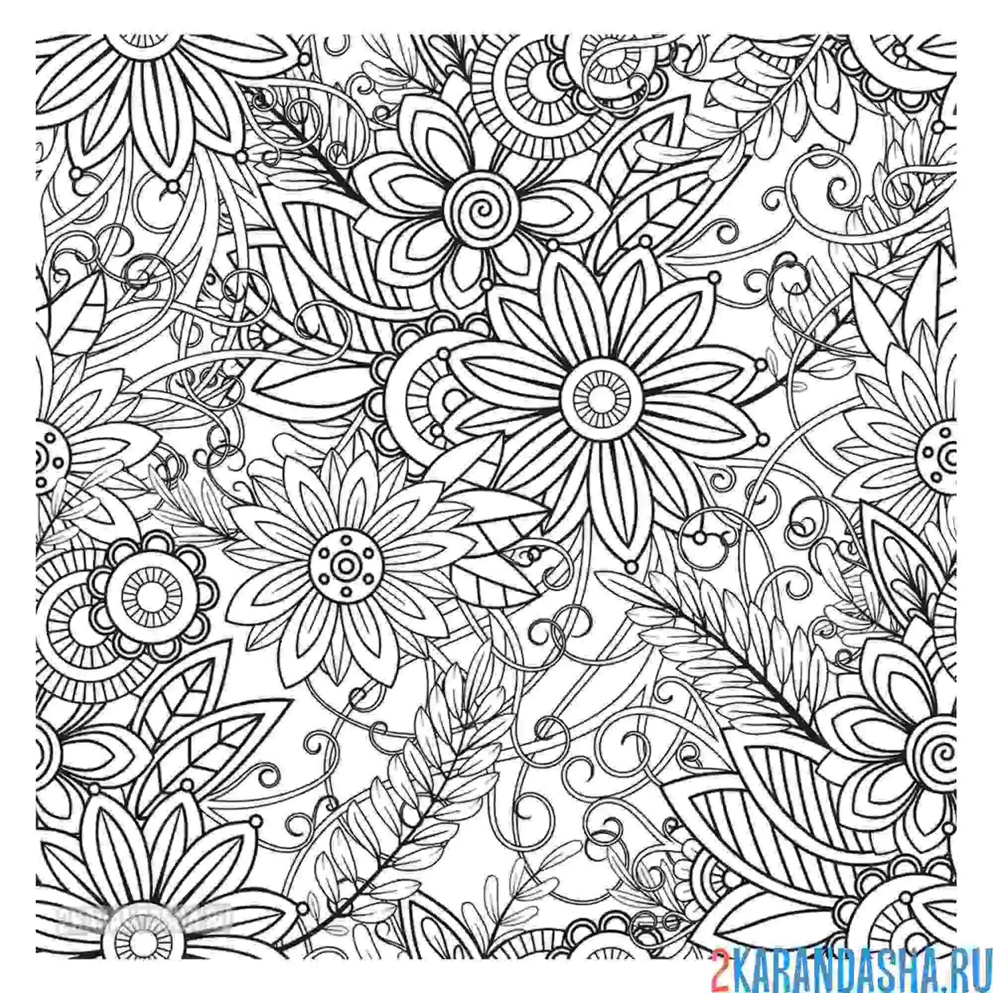 Раскраска разные цветы