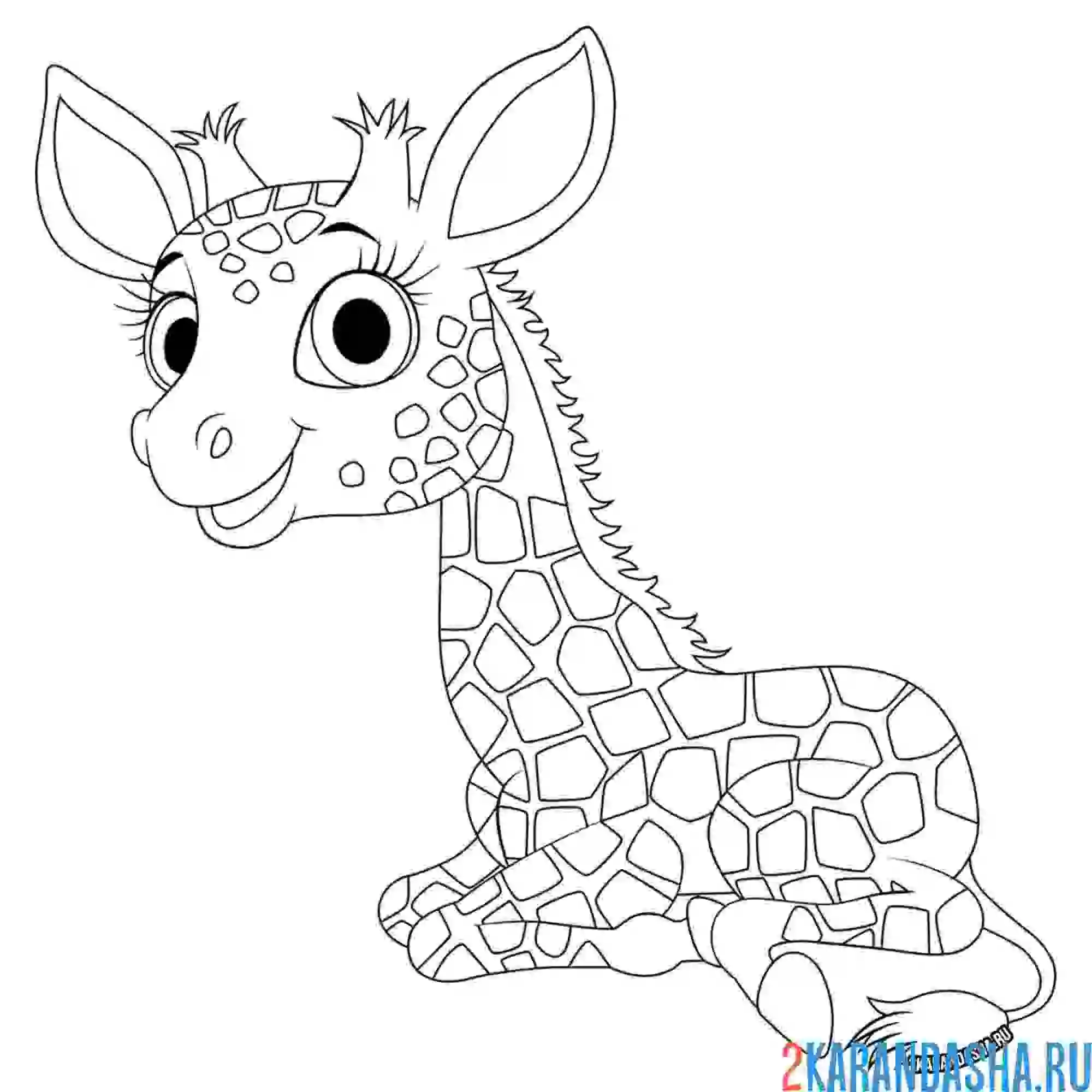 Раскраска жирафик отдыхает