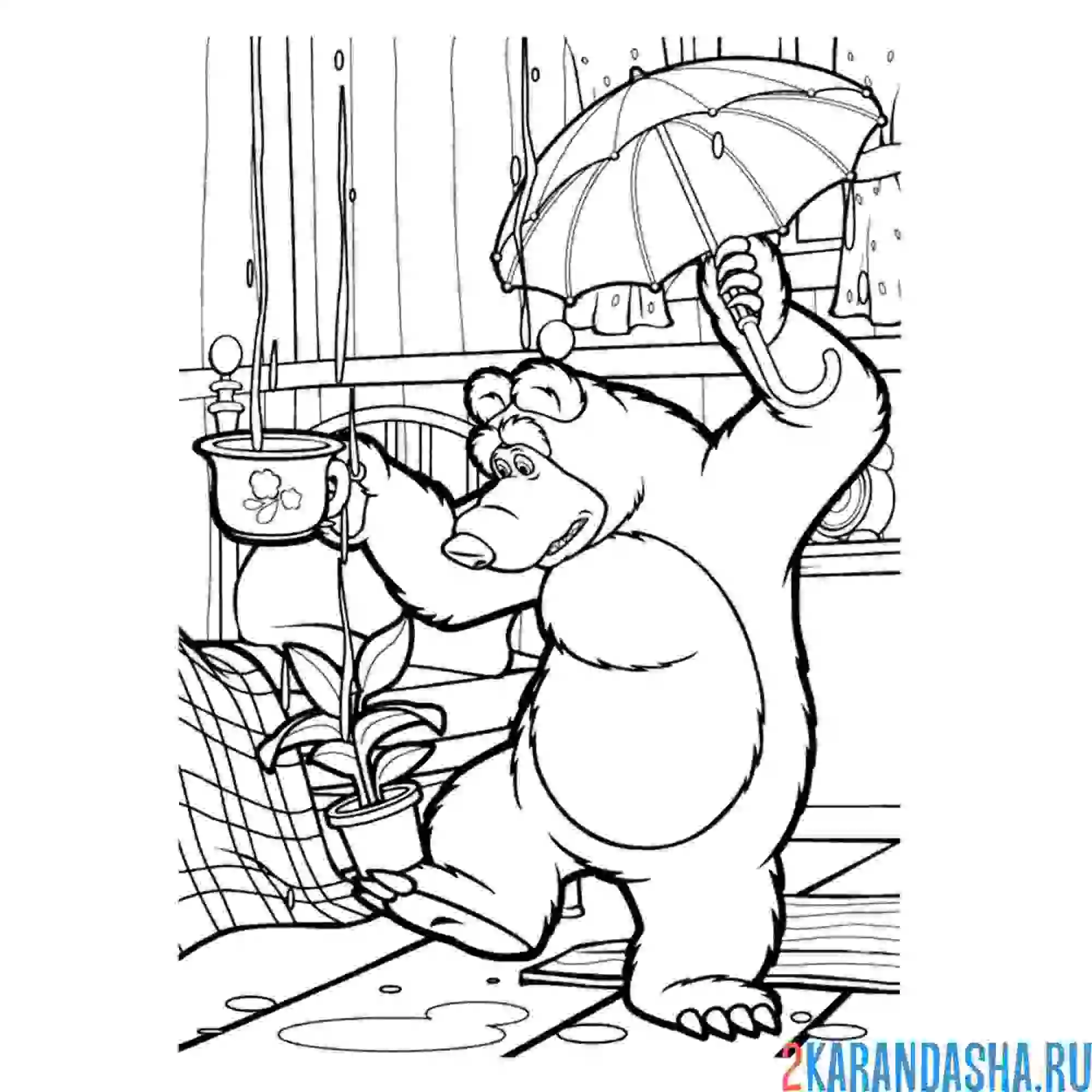 Раскраска медведь жанглирует