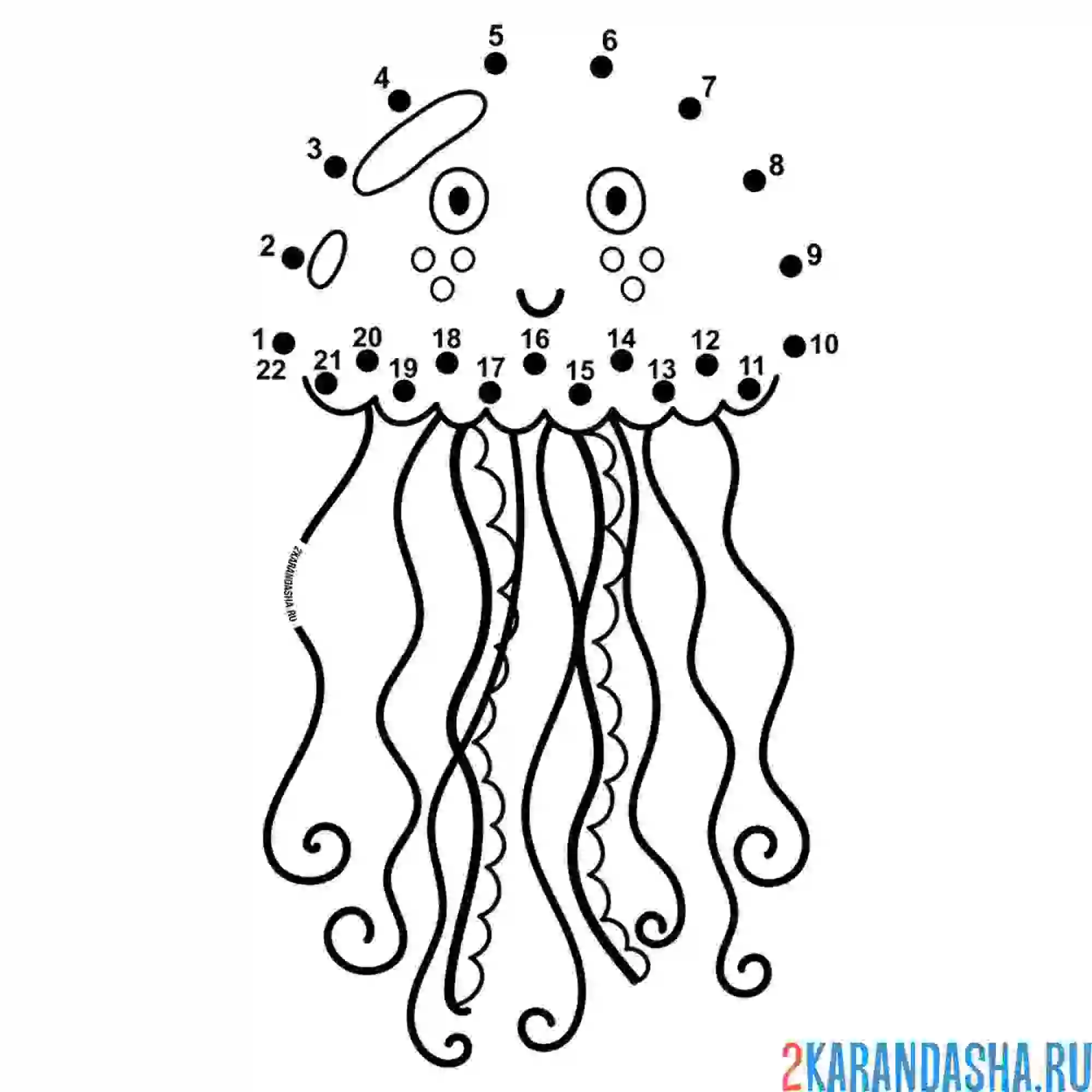 Раскраска медуза