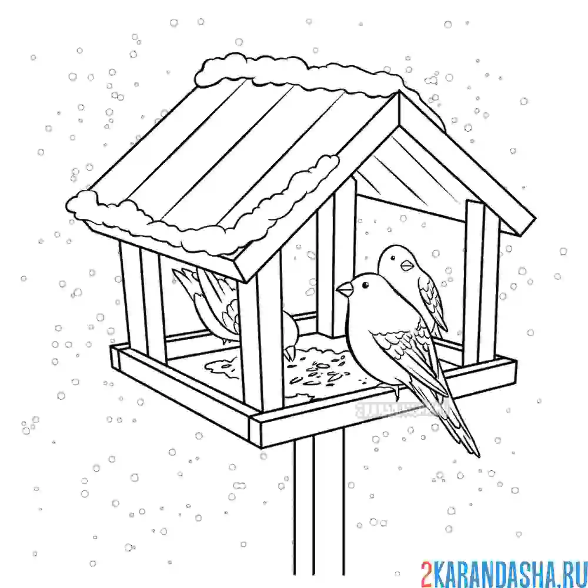 Раскраска зимние птицы и скворечник