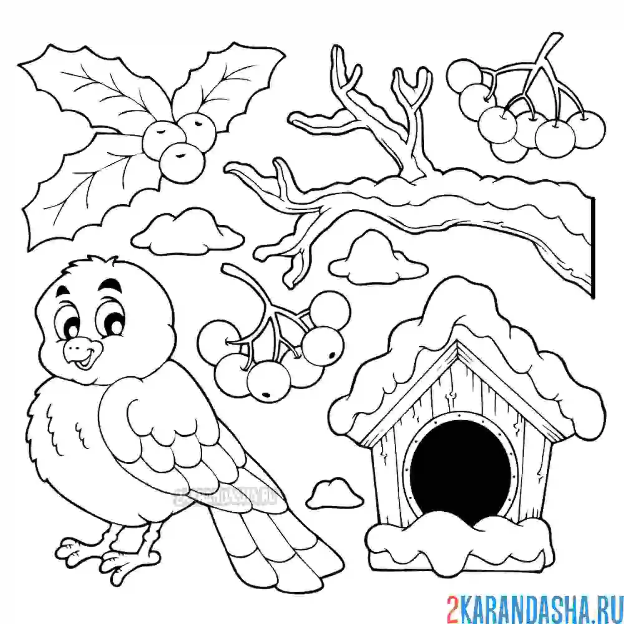 Раскраска зимняя птица, рябина, лес