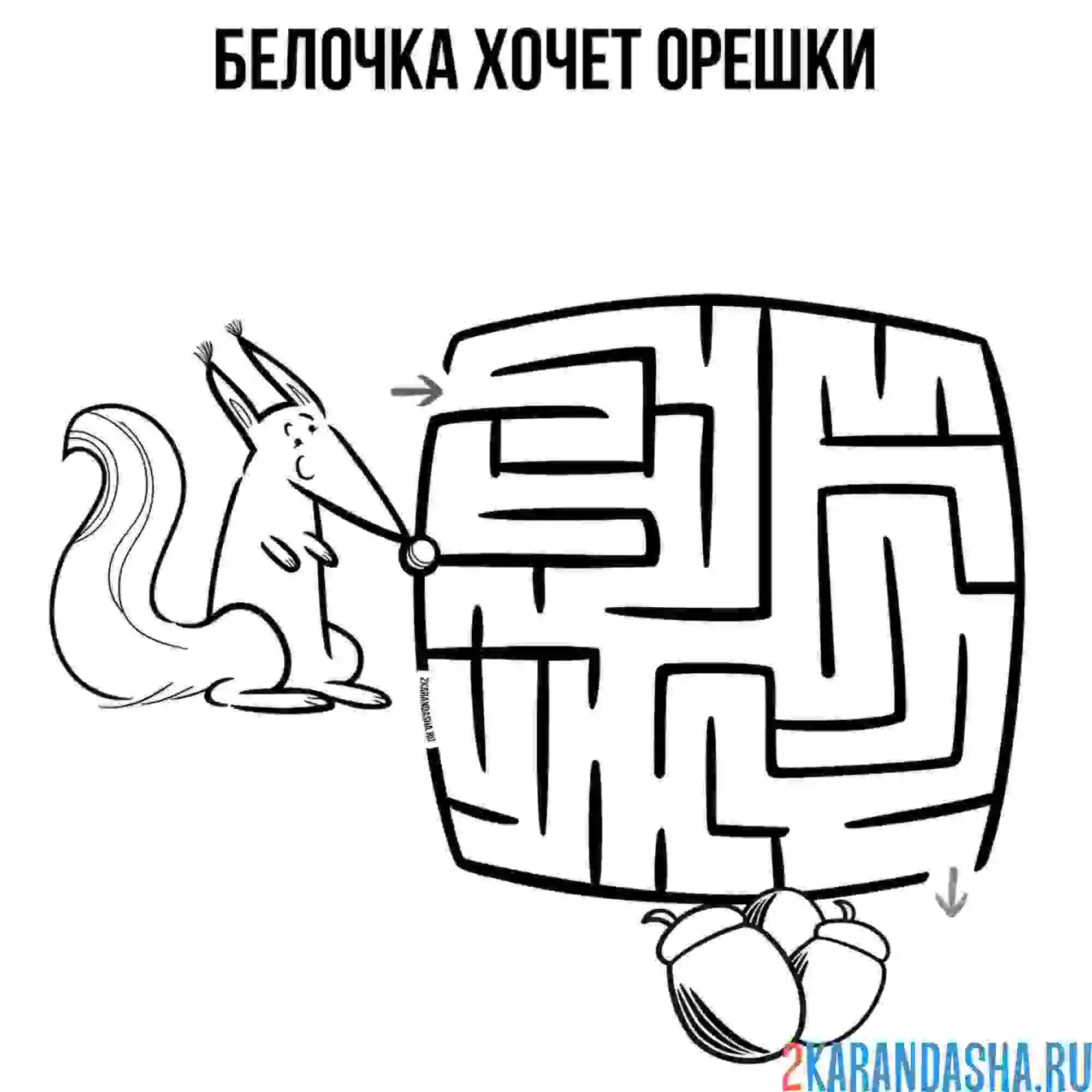 Раскраска лабиринт белочка и орех