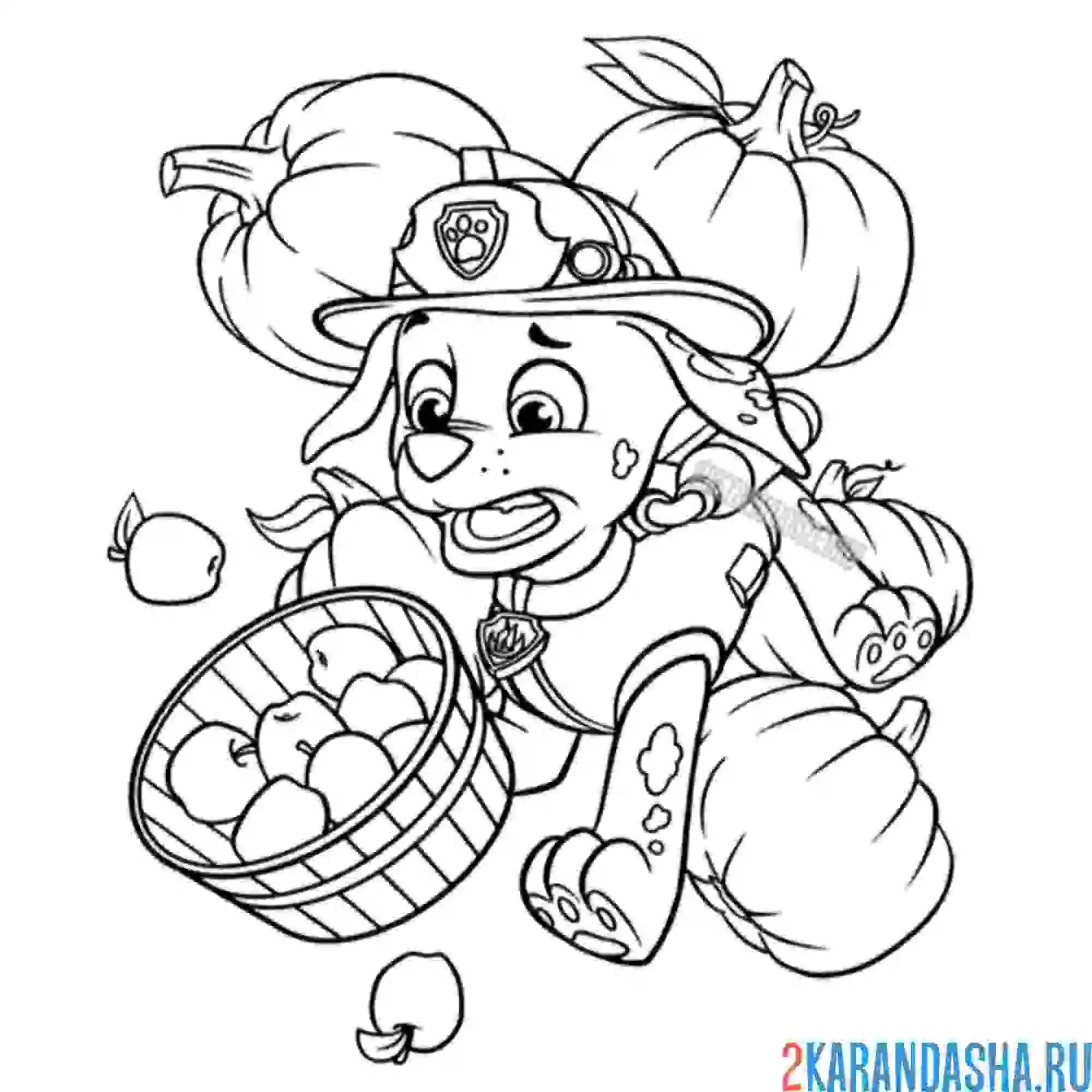 Раскраска маршал в тыквах