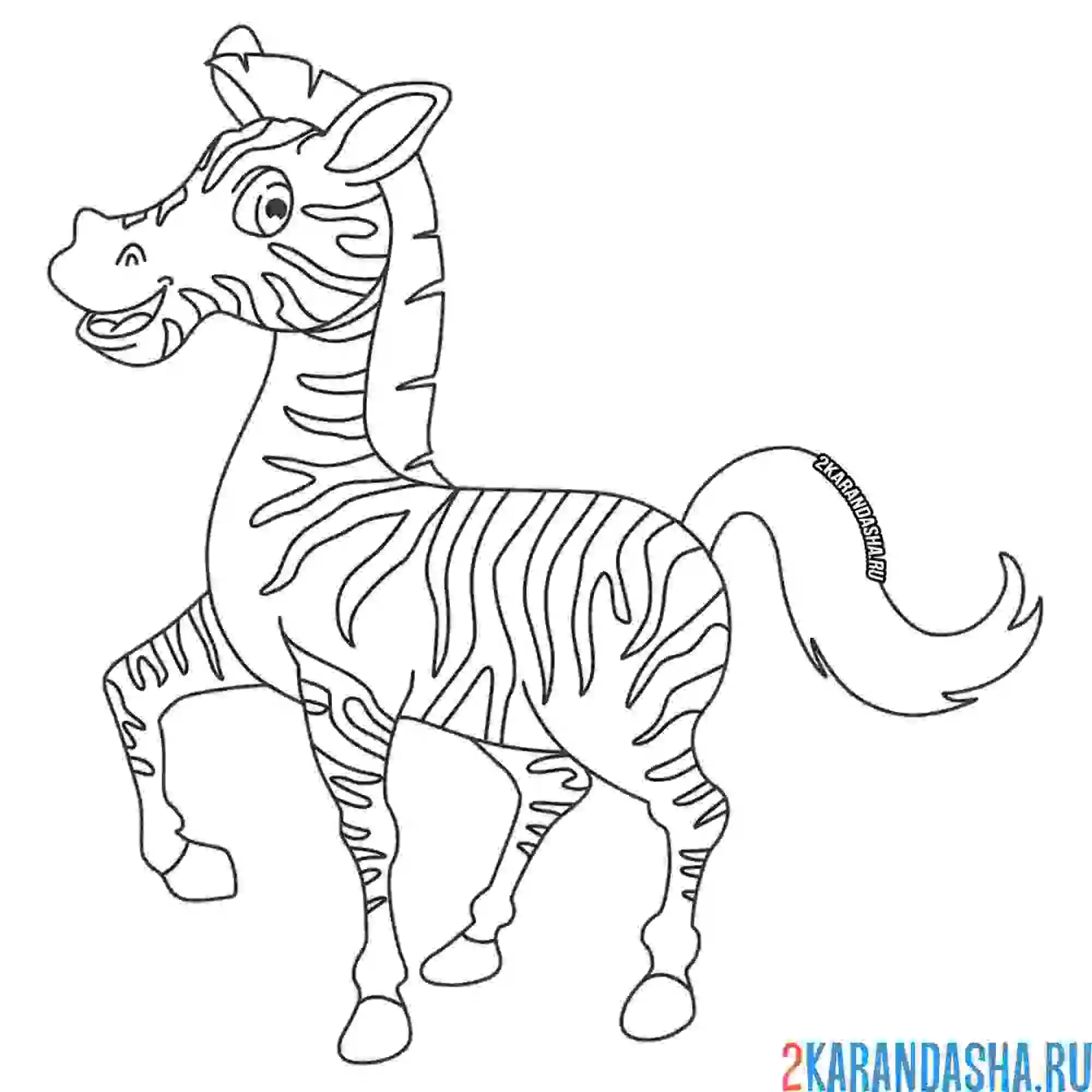 Раскраска зебра хвостиком виляет