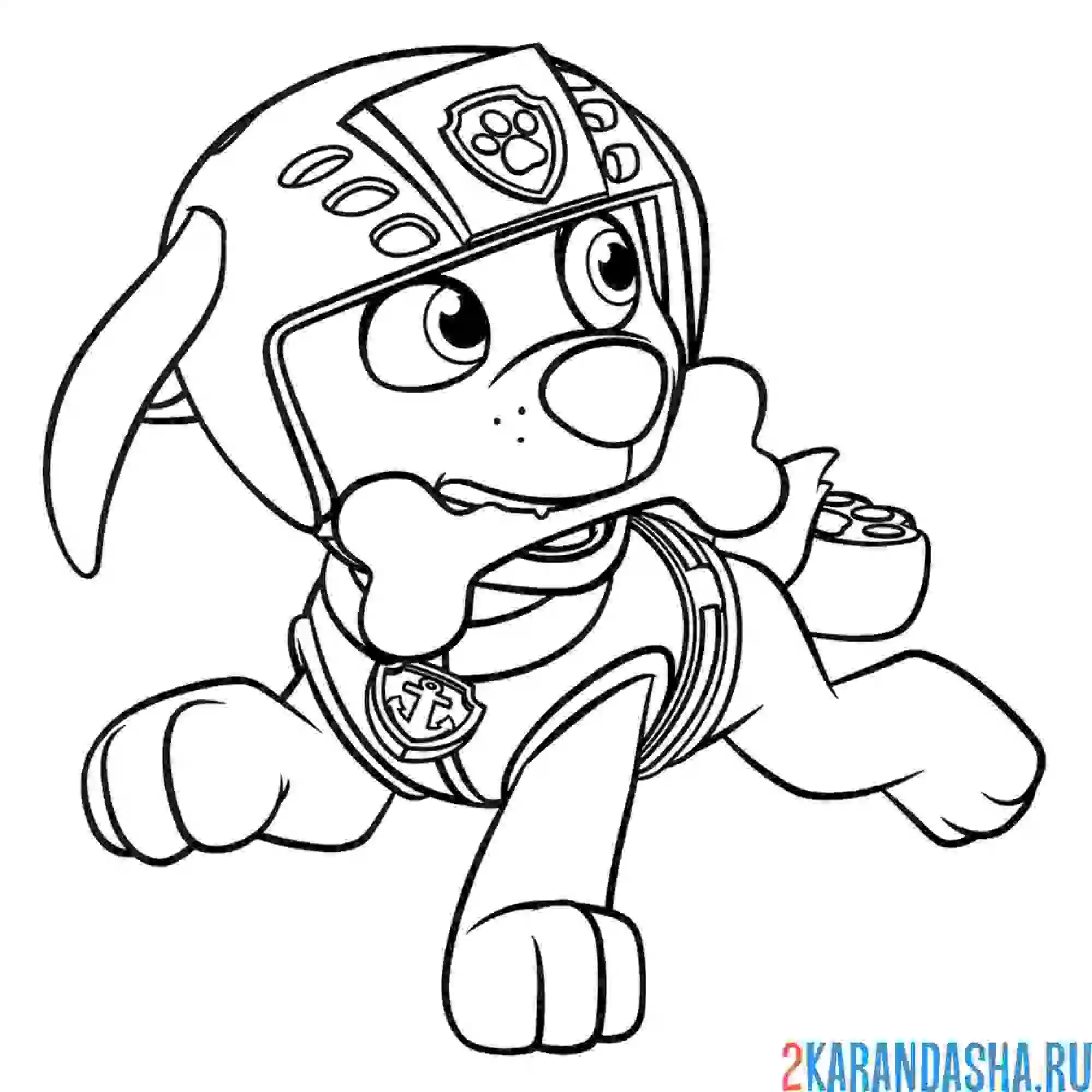 Раскраска зума с косточкой