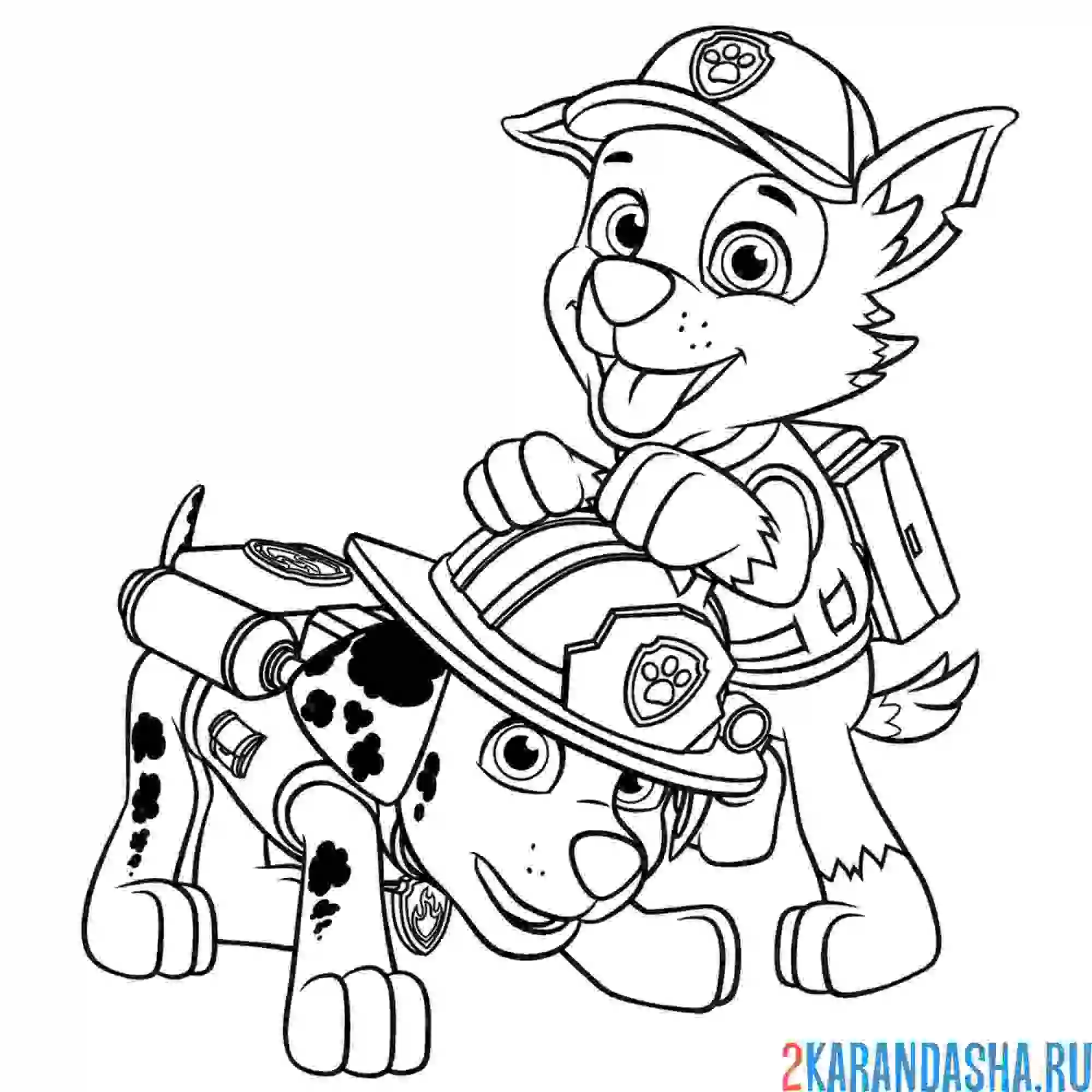 Раскраска маршал и рокки играют