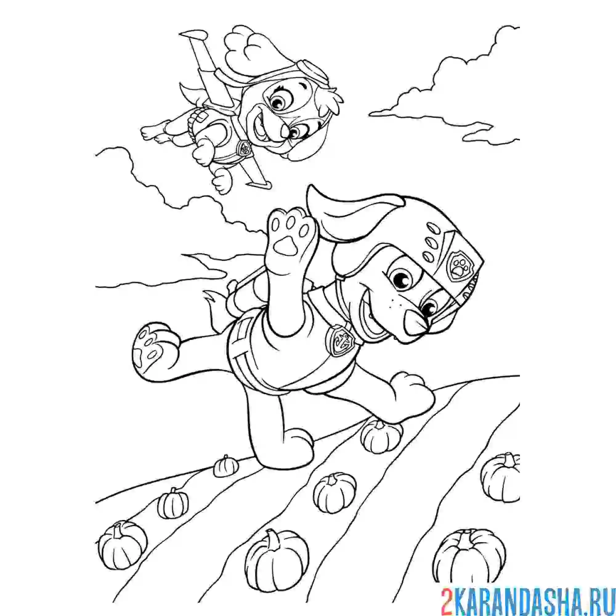 Раскраска скай и зума на задании