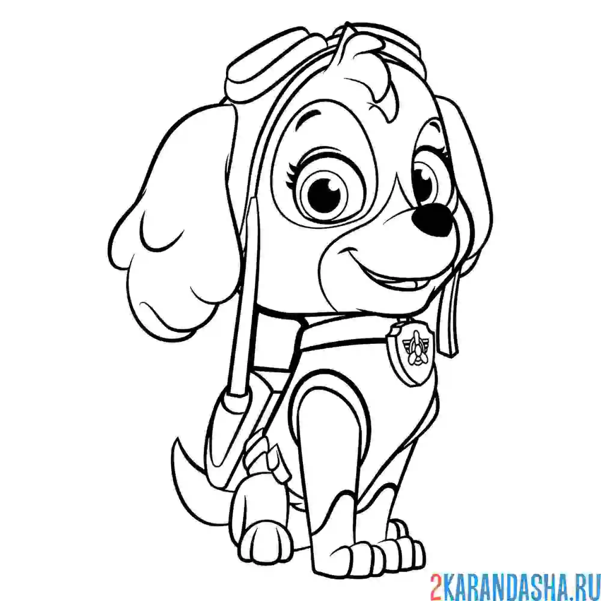 Раскраска скай герой