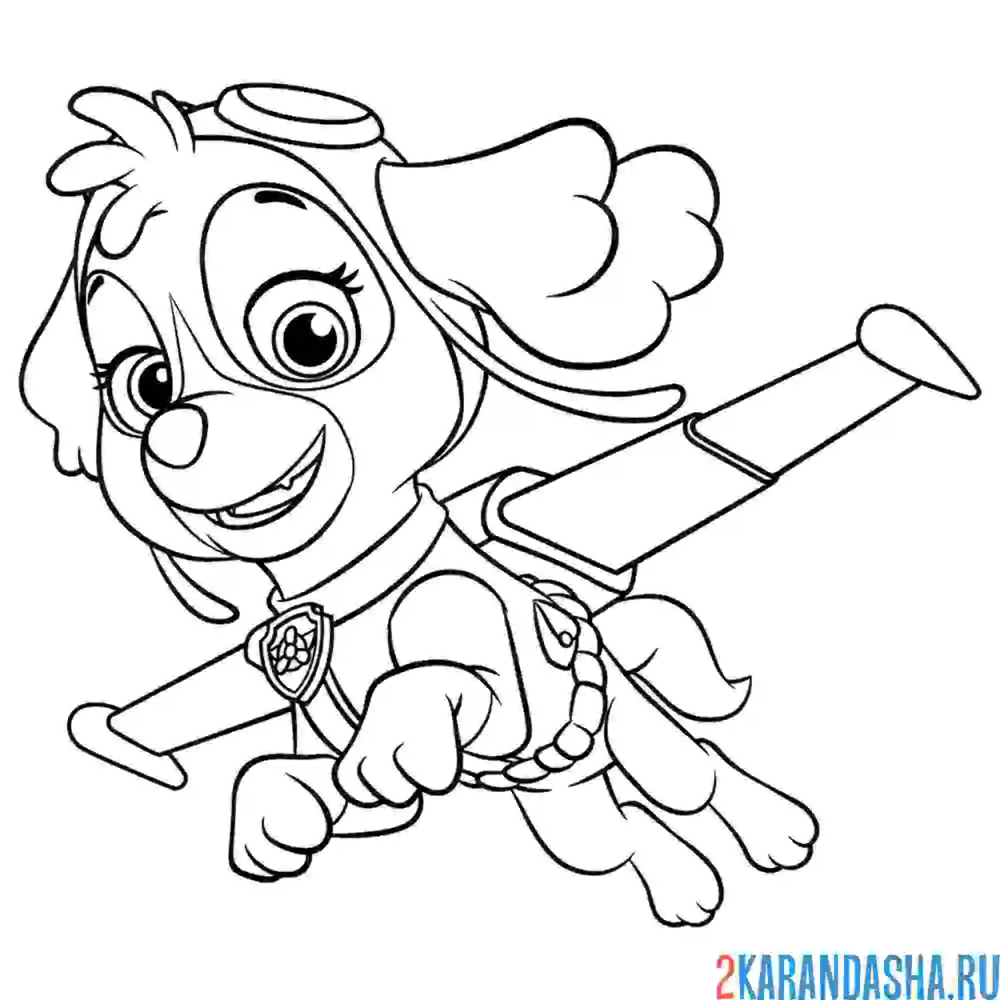 Раскраска скай в полете